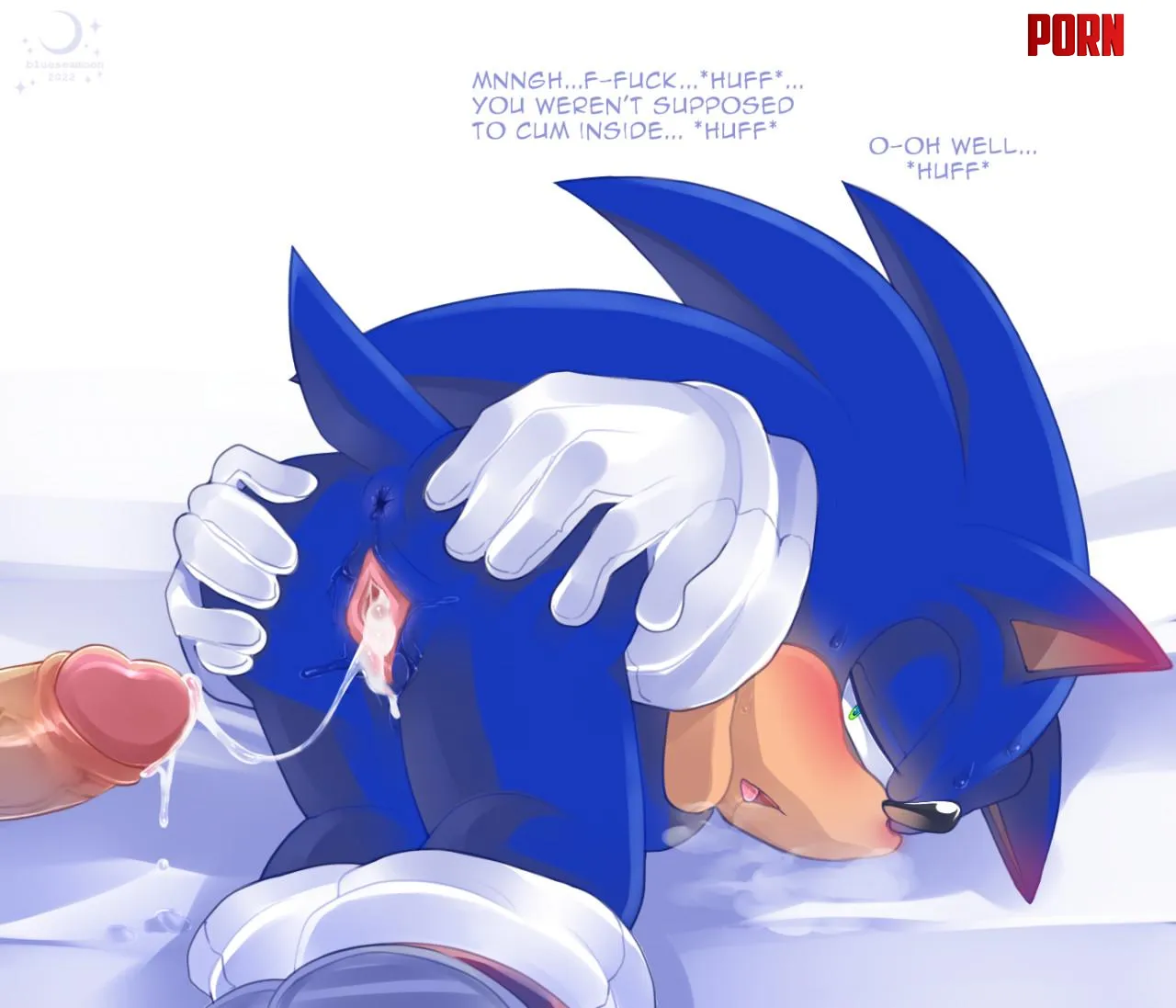 Filling Sonic's pussy [FtM Sonic] (blueseamoon) by Illustrious-Ice9656