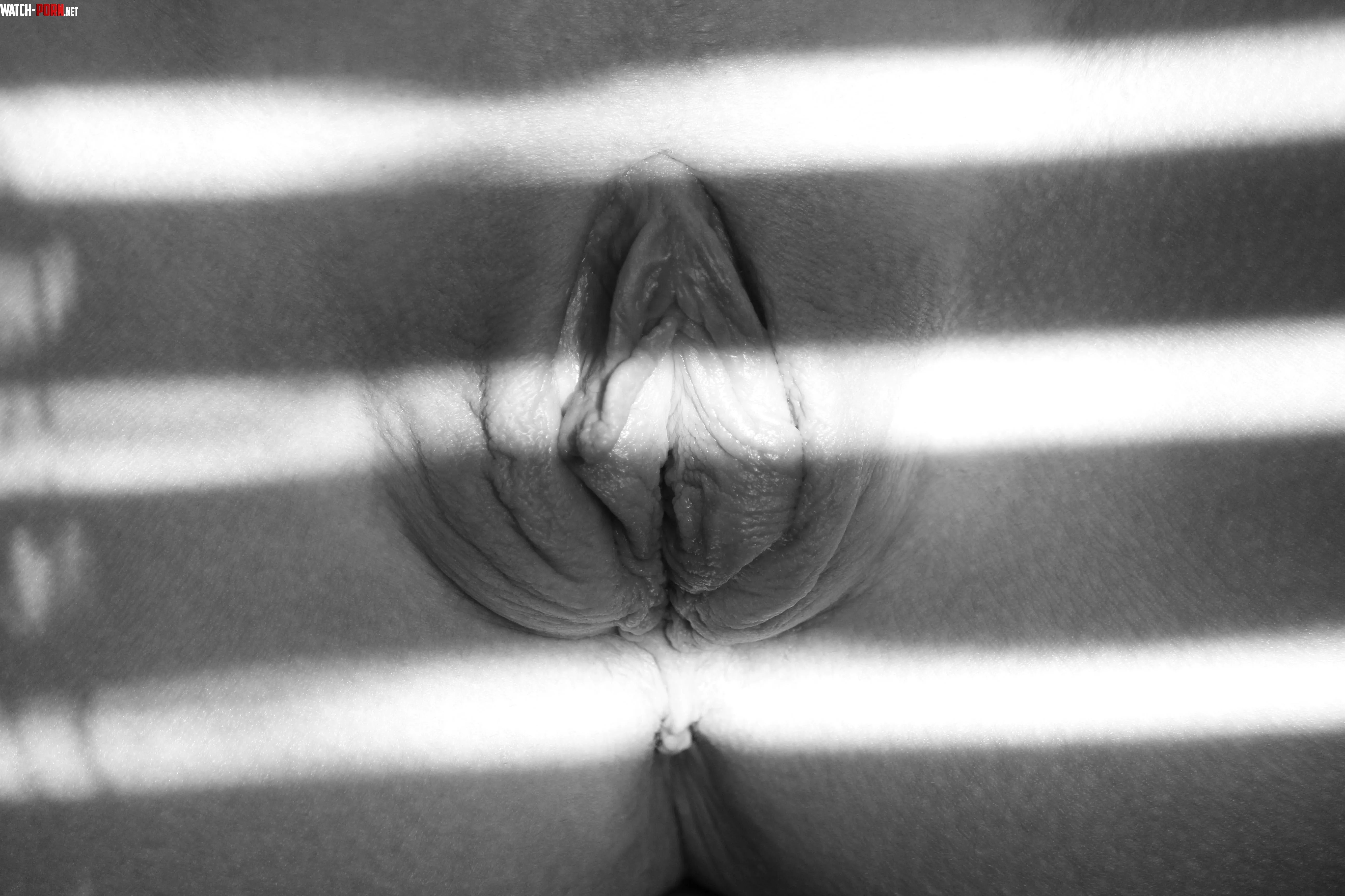 Black and white and sun striped by feverishh