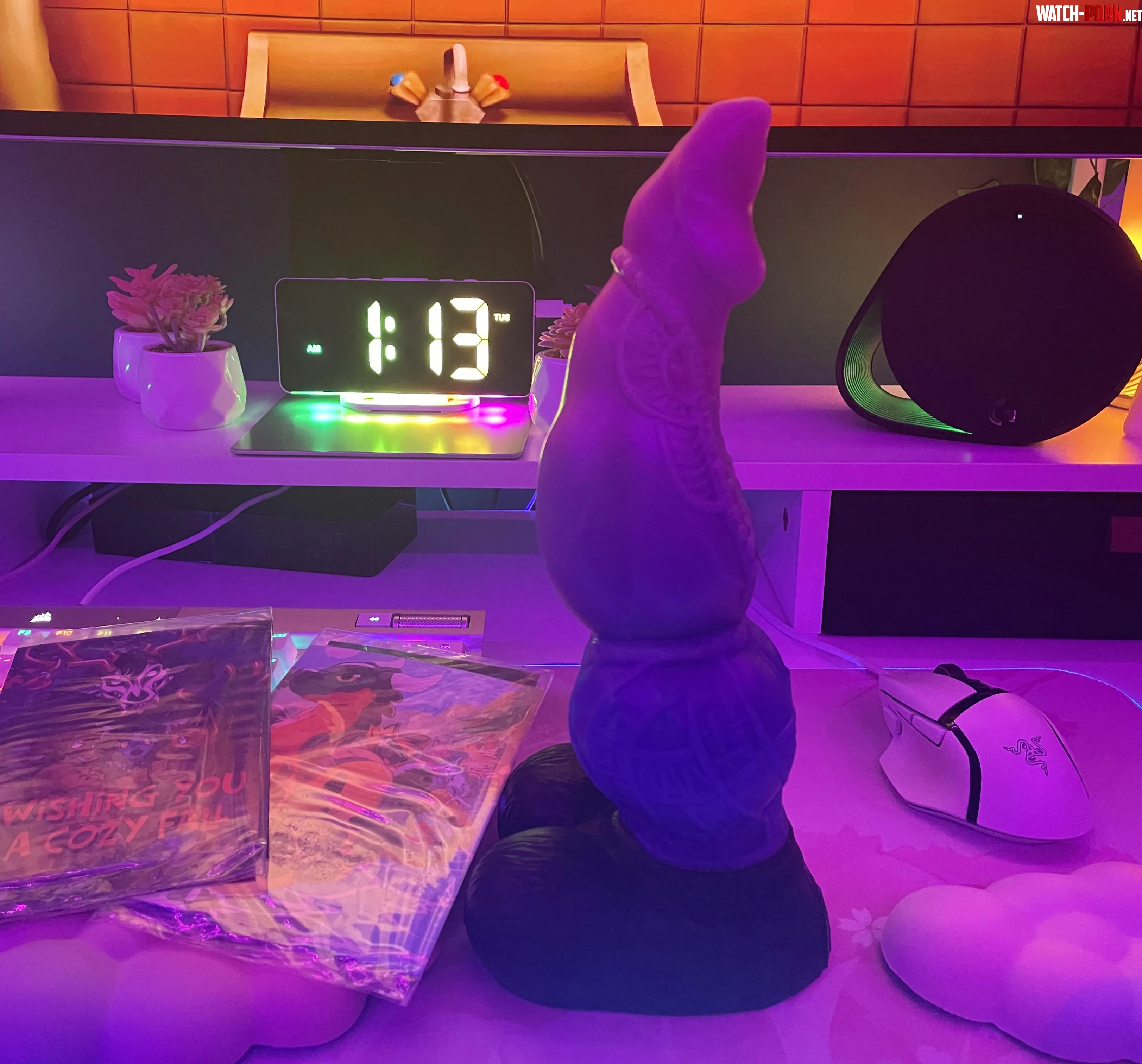 My Anubis just arrived and he is really big to me :3 by Hot-Society5708