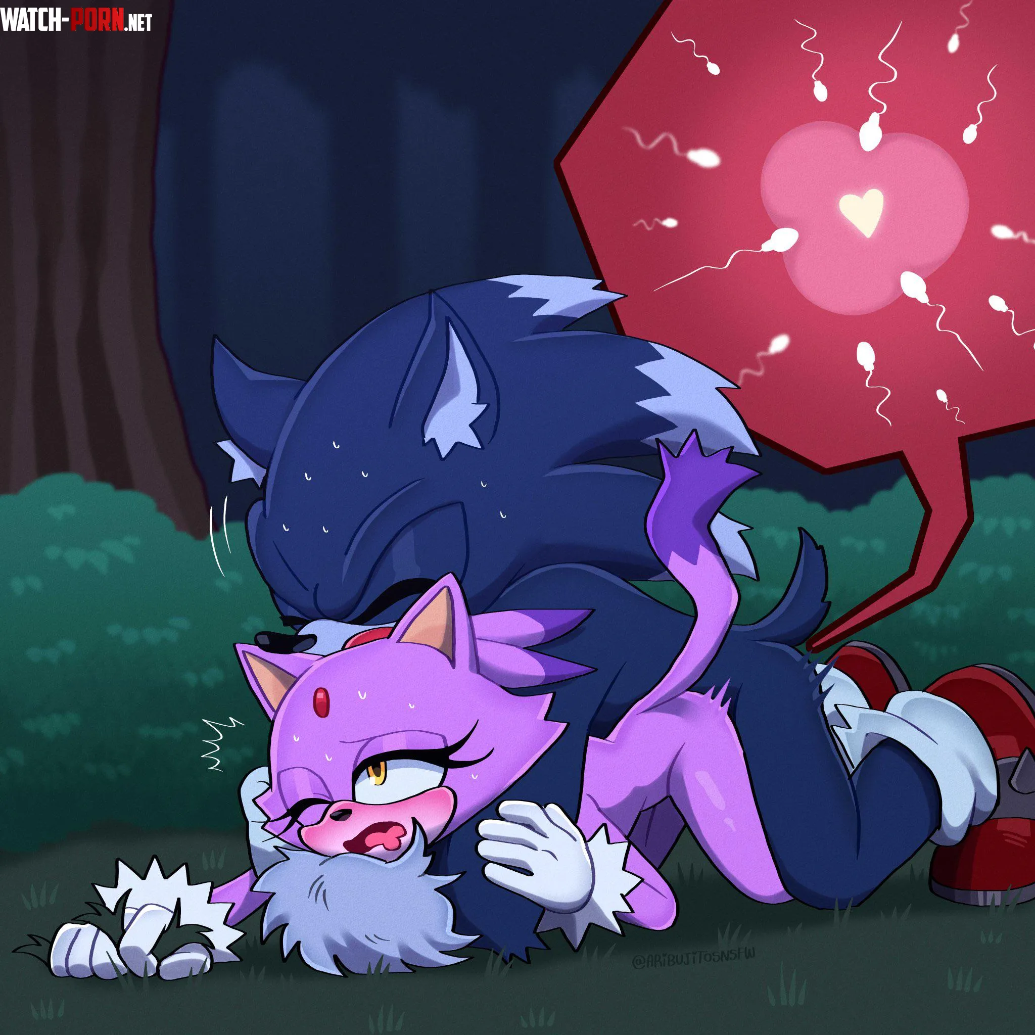 Blaze being bred by werehog sonic (aribujitosnsfw) by Quantum_Quartz_