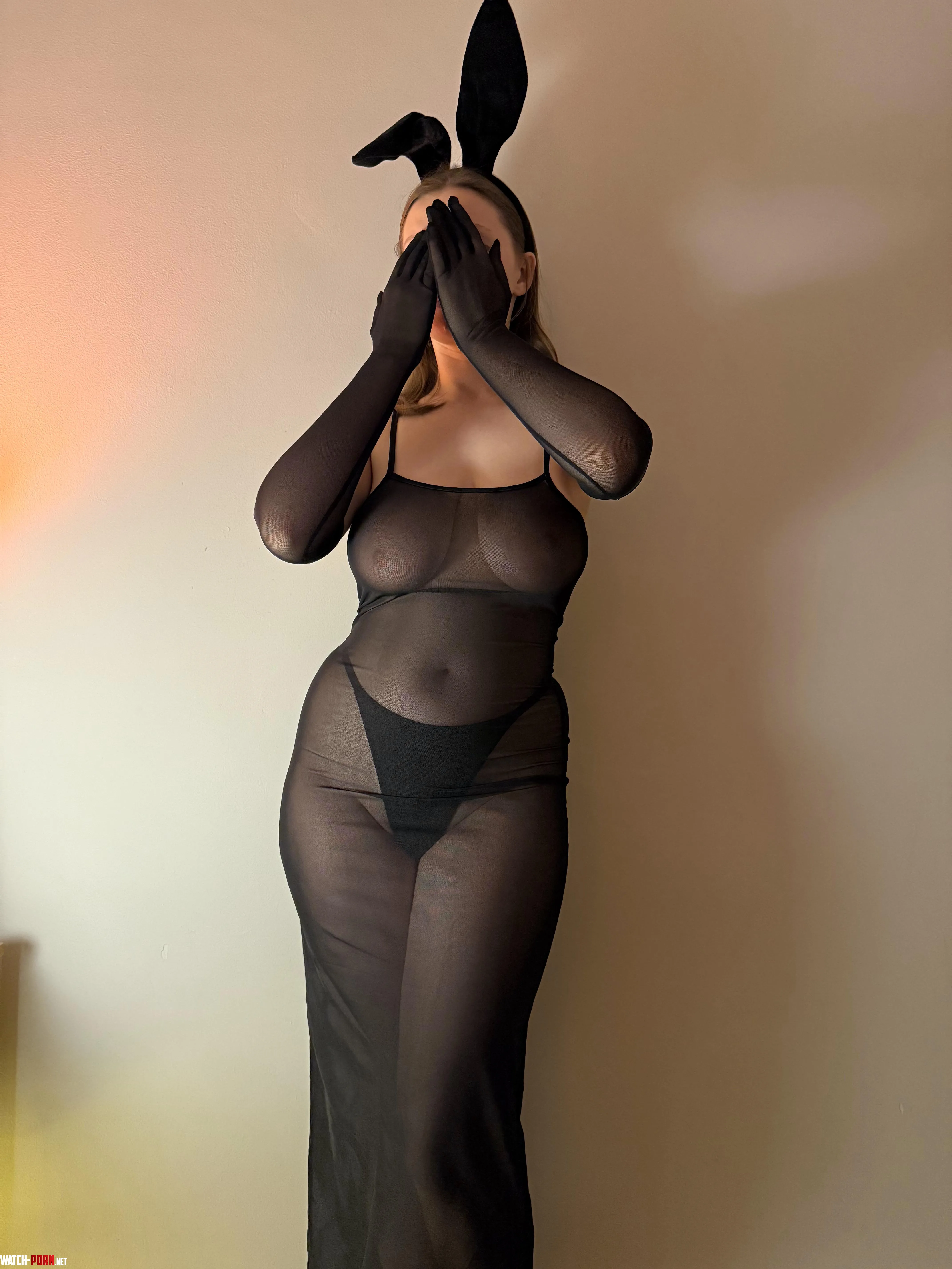 Black bunny by YourSacredBlasphemer