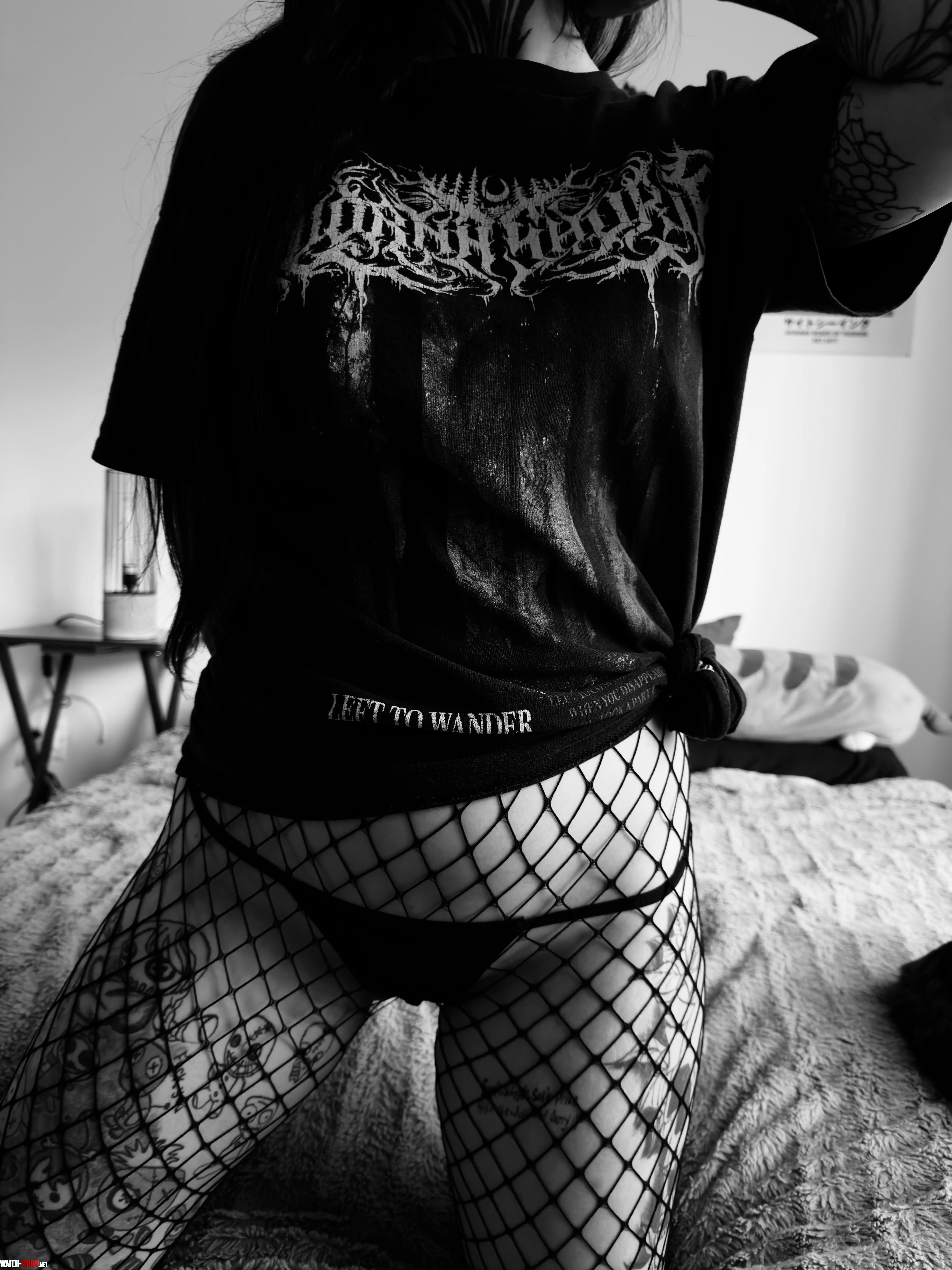 Your scene present wrapped in fishnets by saphiraveil