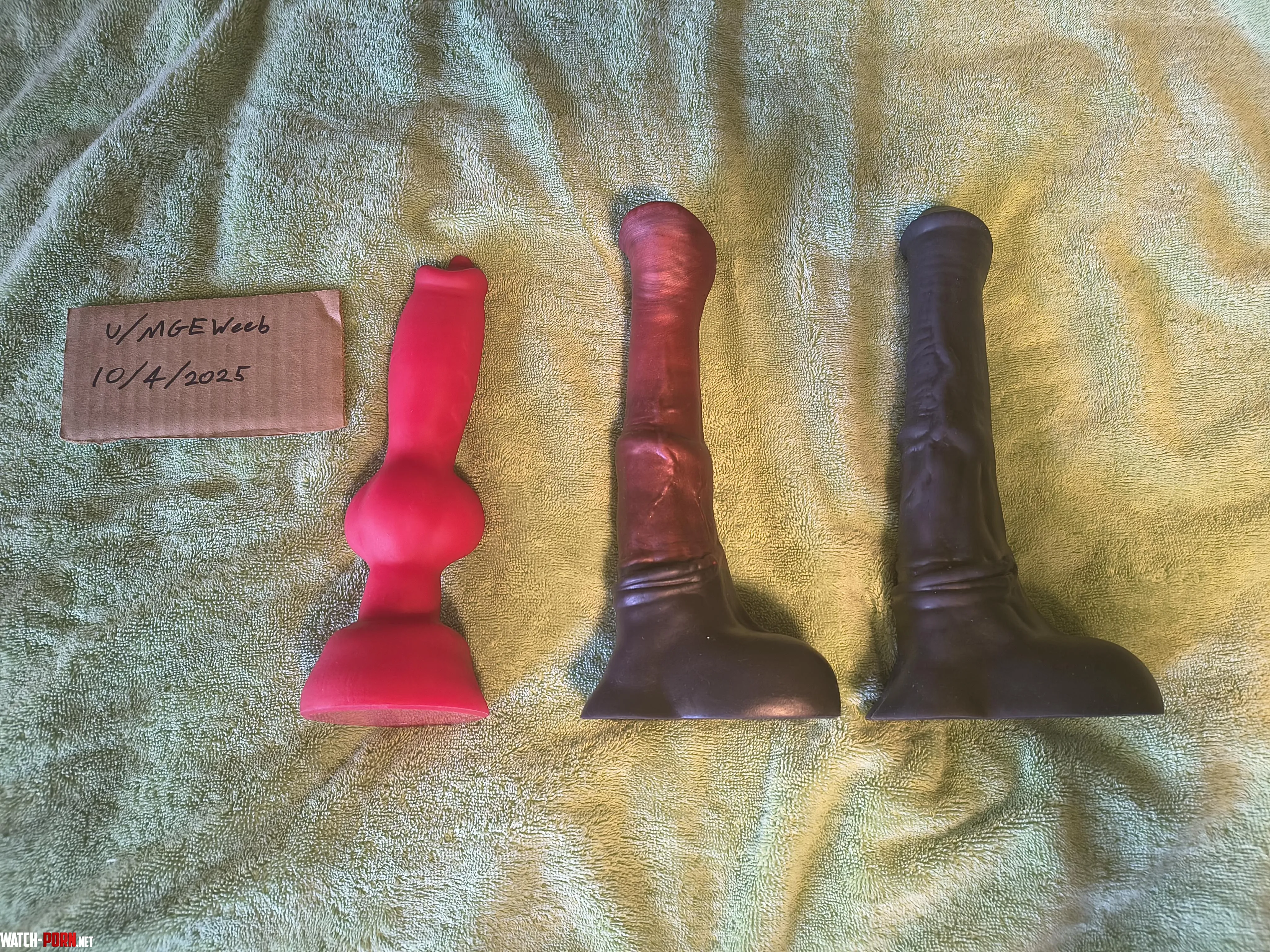 WTS M/M Rex; M/M-F Flared Chance legacy; M/M Unflared Chance legacy by MGEWeeb