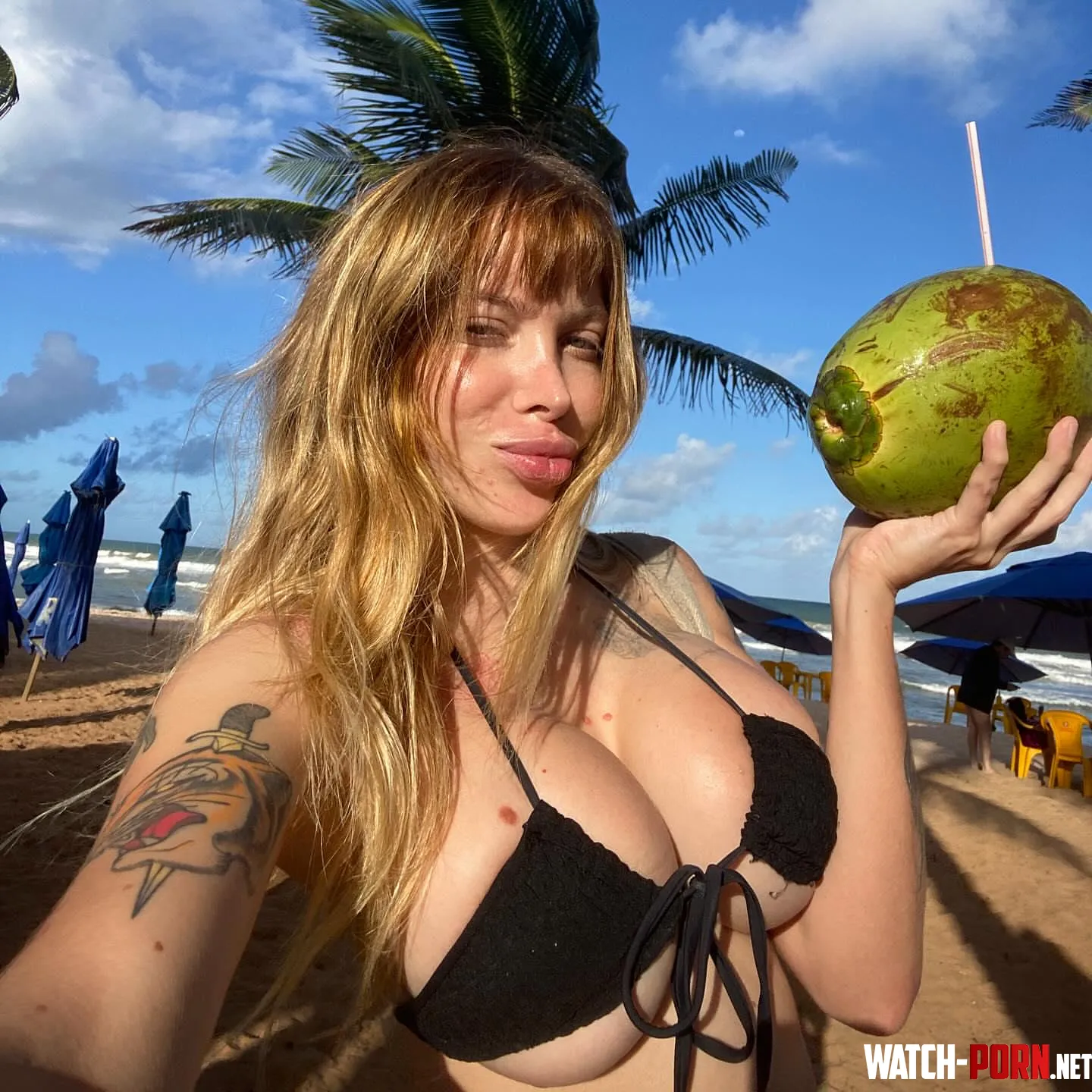 3 coconuts by BreastsAndThighs