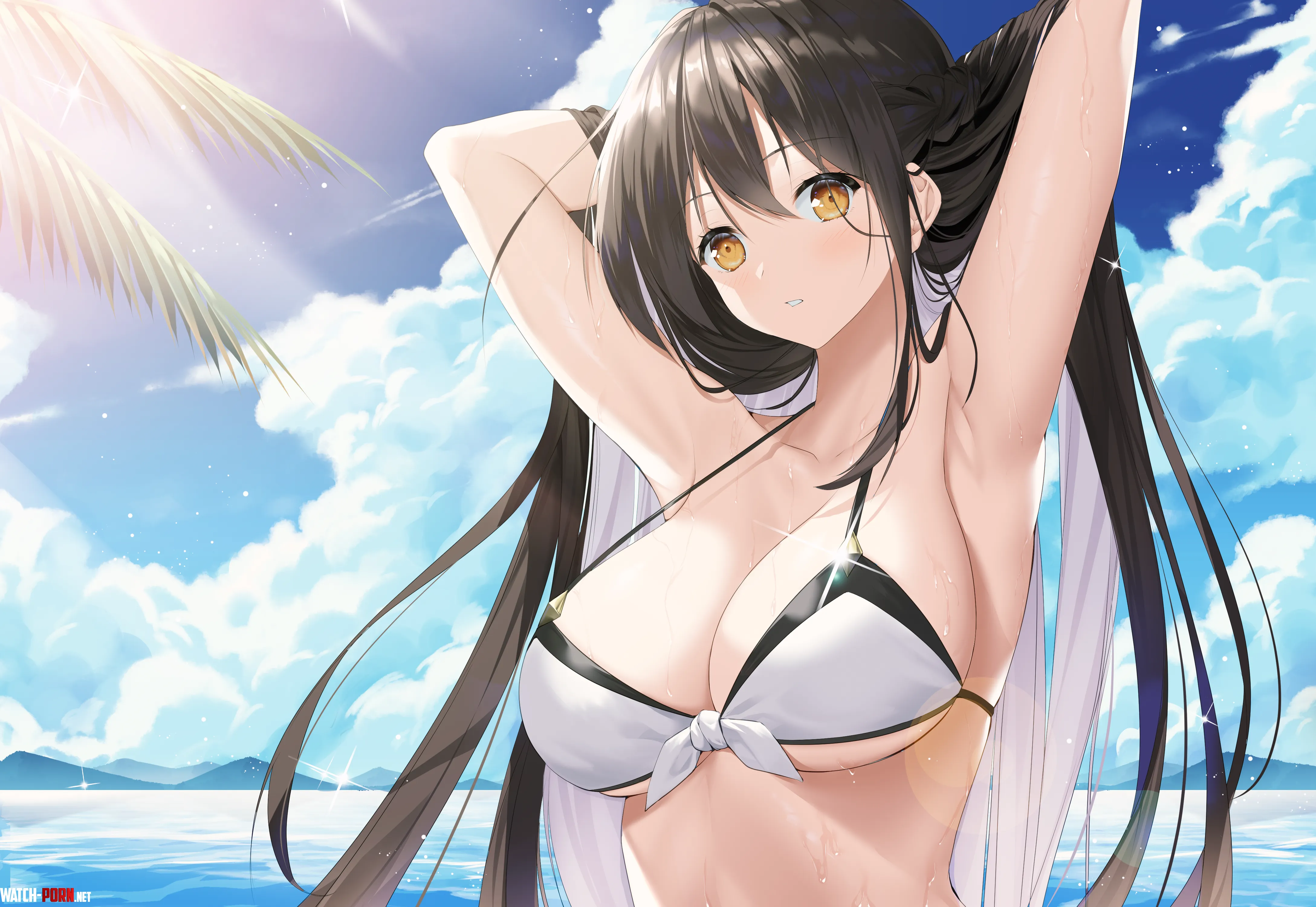 Ara Haan (vescarr_ / Veca) [Elsword] by TheRoySez