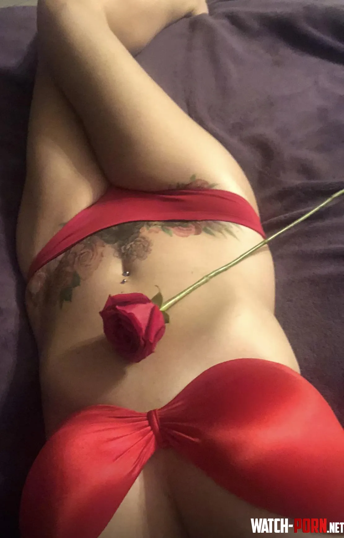 Do you except this red 🌹rose ? by redcougarrr