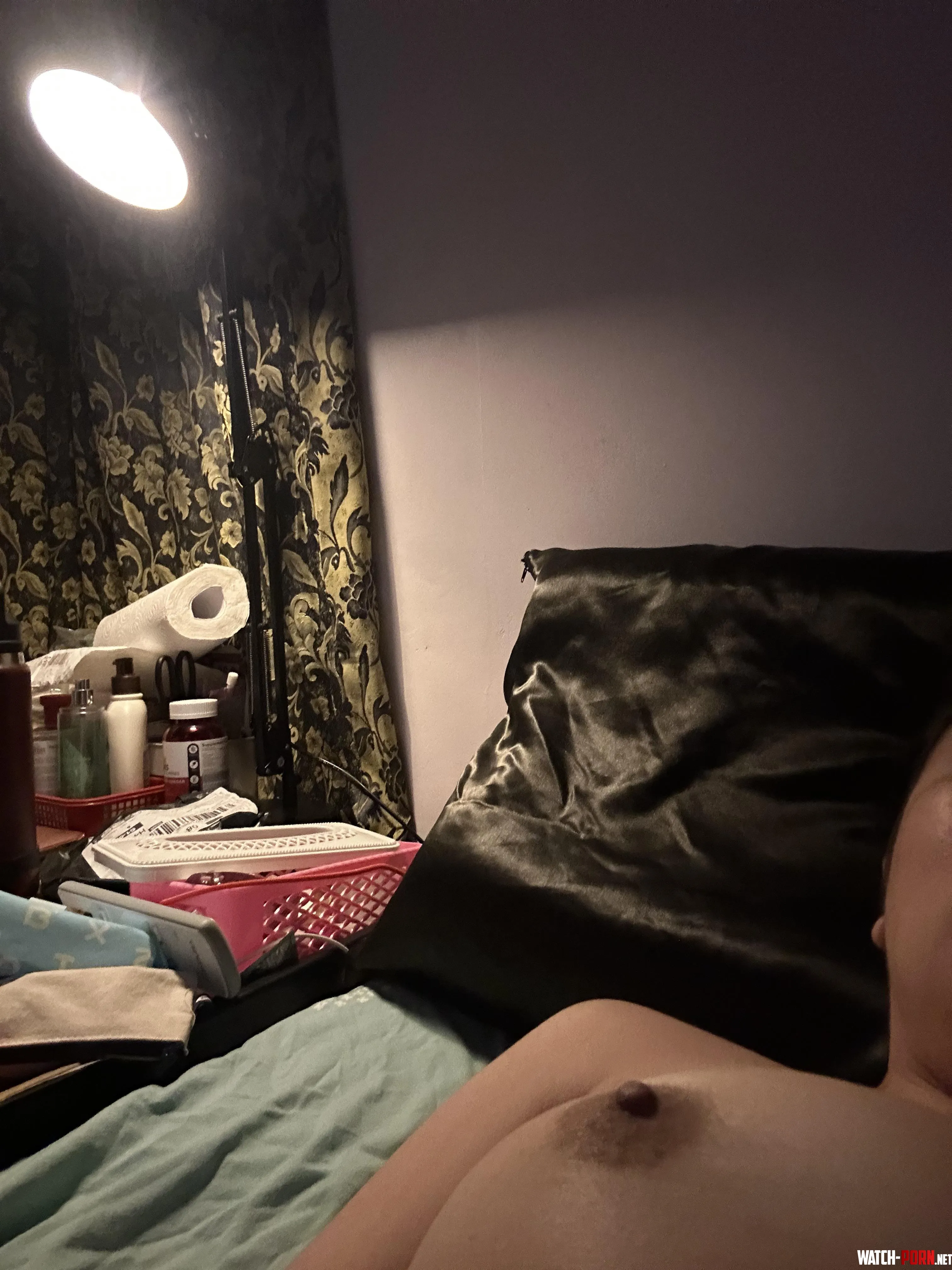 Would you lie with me and just [F]orget the world? by stay-awhile-n-listen