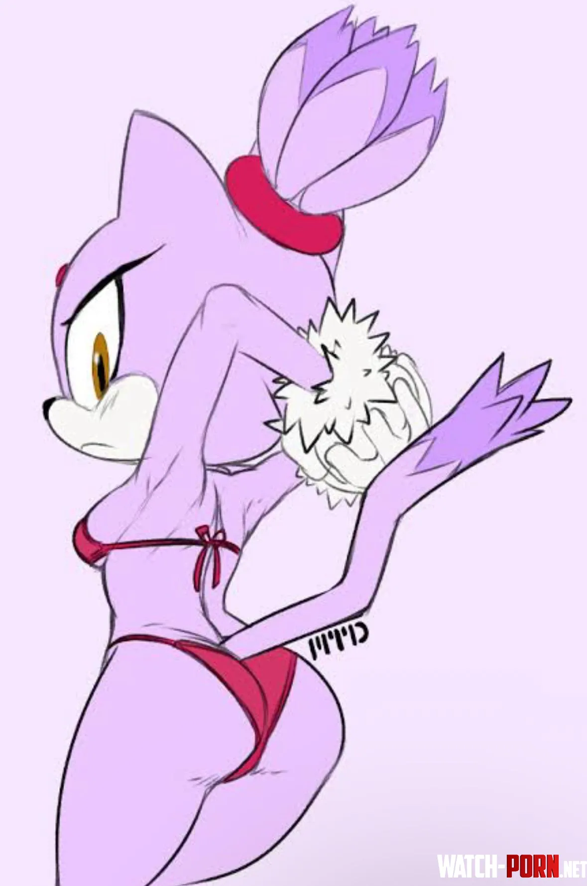 Blaze the cat by JJL7244