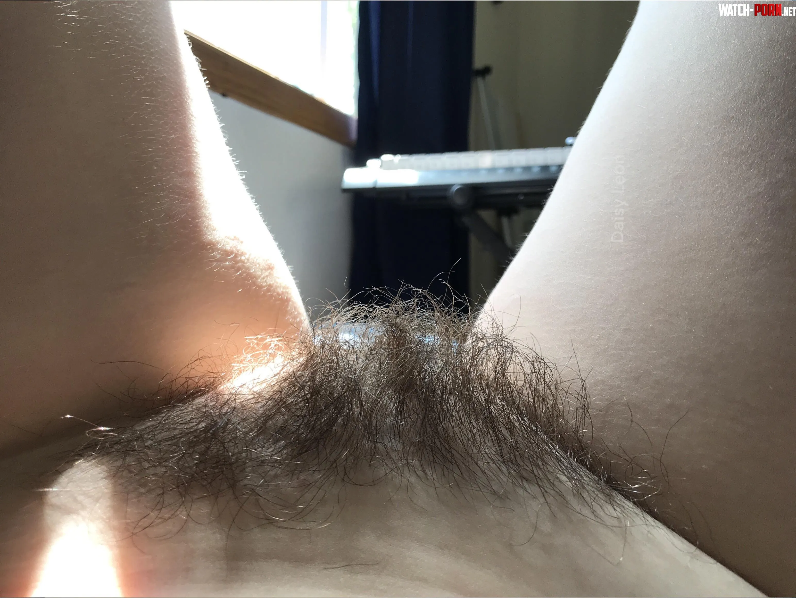 My morning bush is wild by DaisyLeonXXX