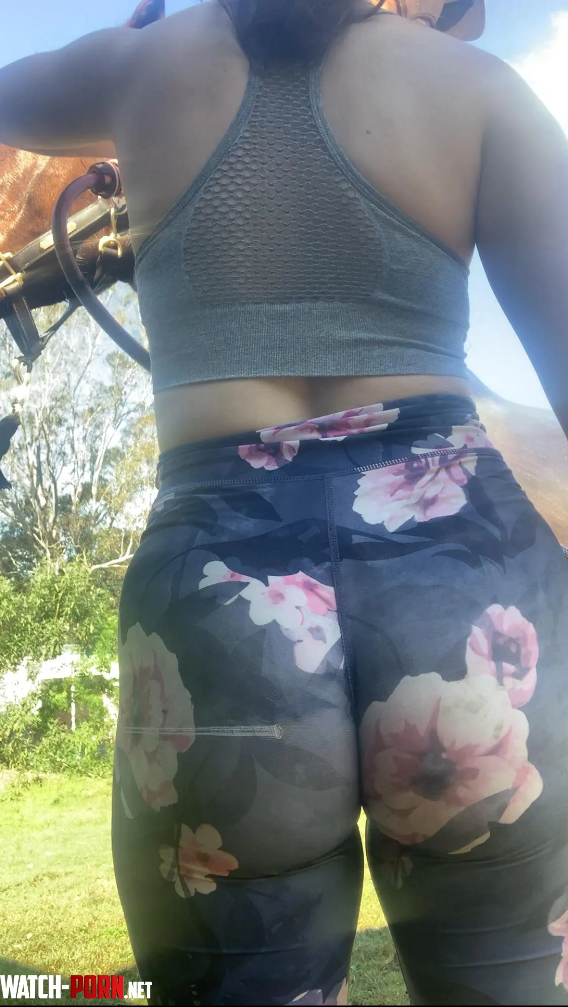 Gotta keep the horses cool in this hot weather here by the_lingerie_cowgirl