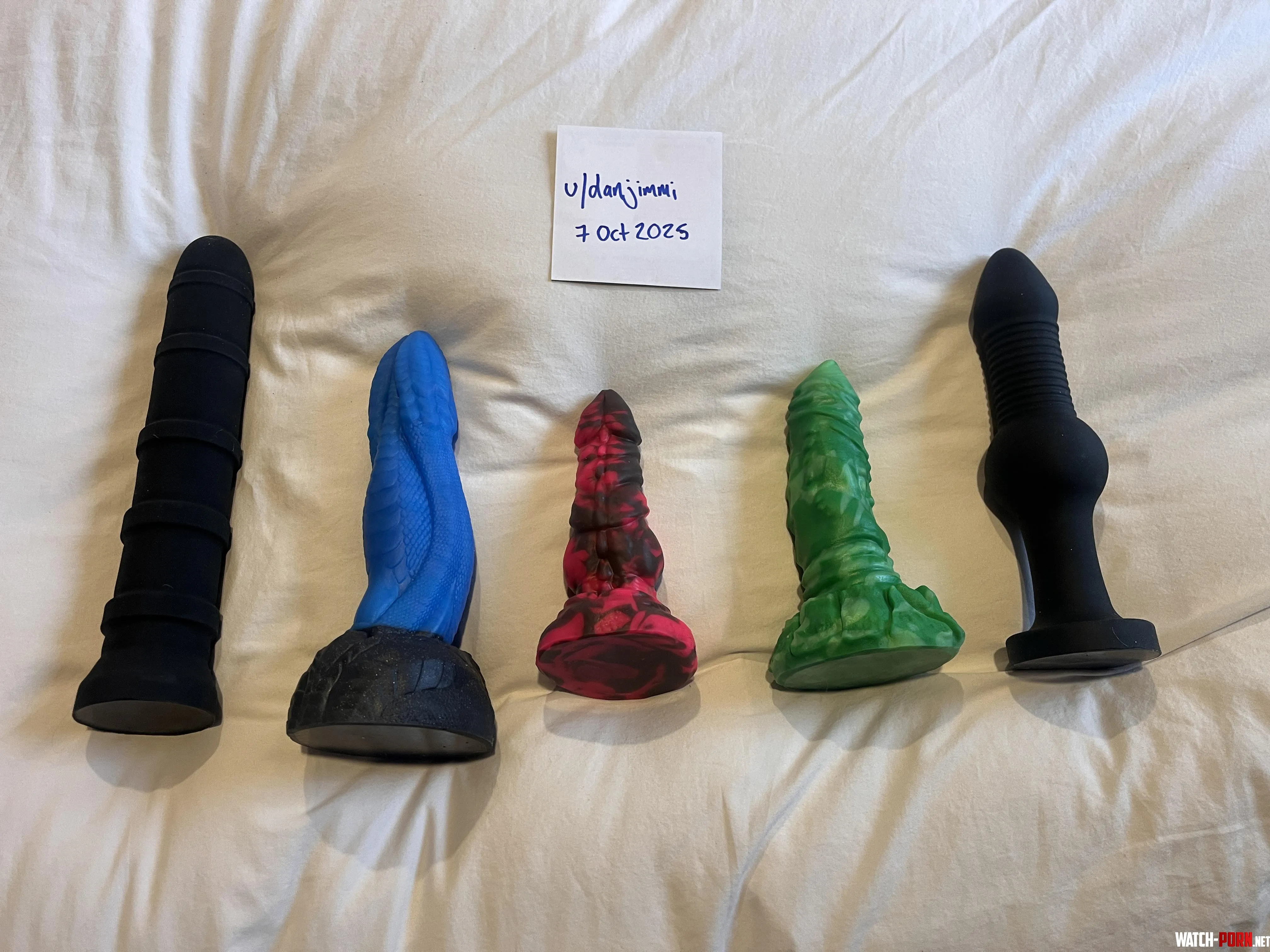WTS Bad Dragon (NZ) small and medium by danjimmi