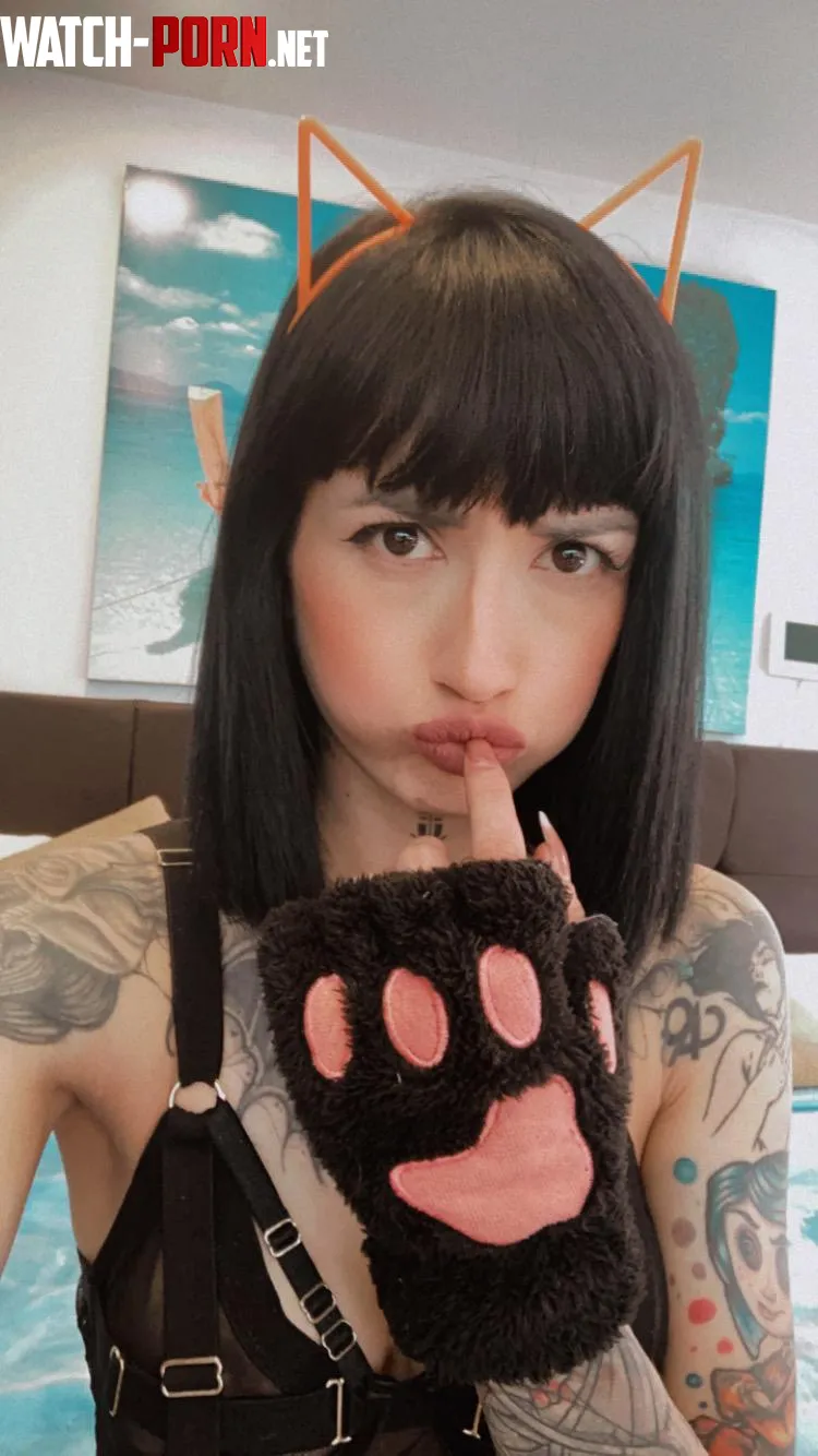 Your little kitten is ready to play… and beg by coxxoez