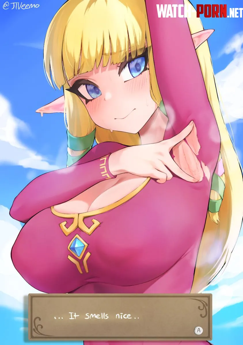 Zelda Skyward Sword (Jtveemo/ビモ) by Yamada_horny