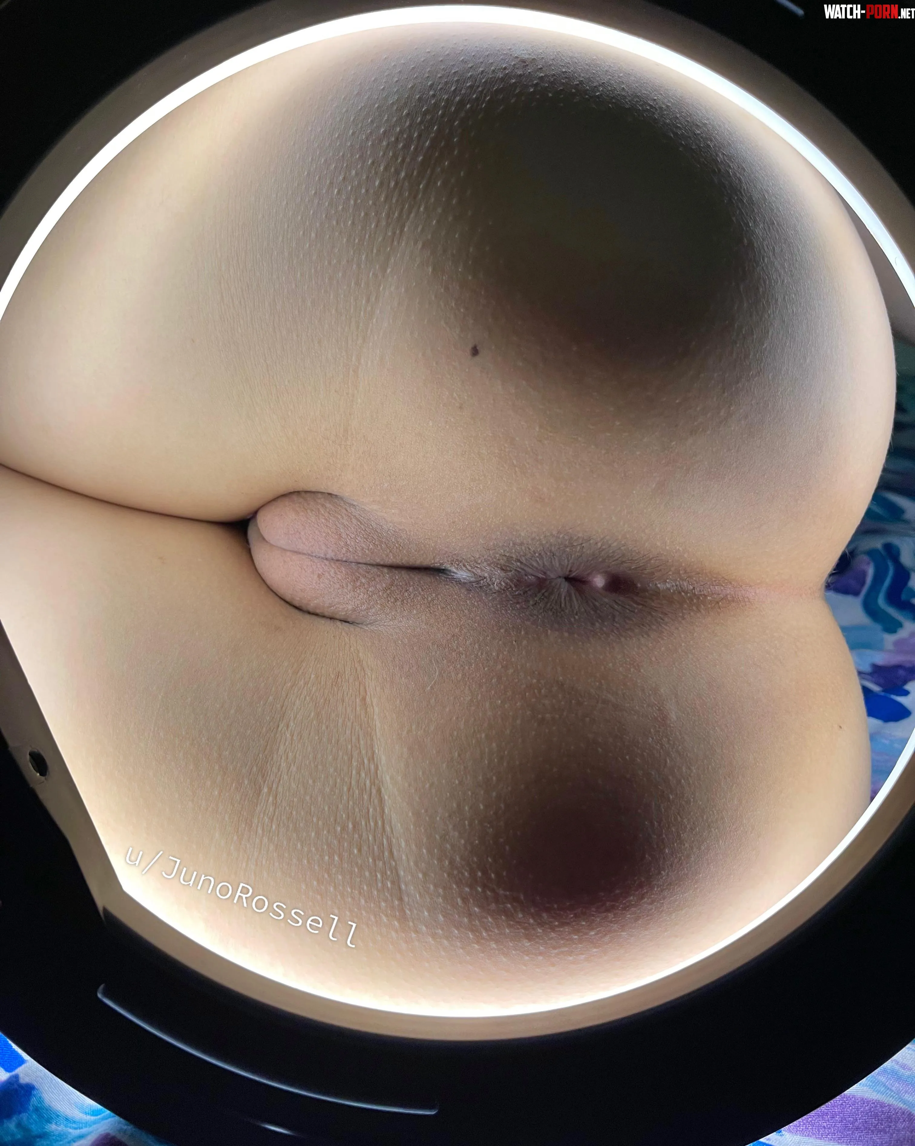 My innie pussy from rear view by JunoRossell