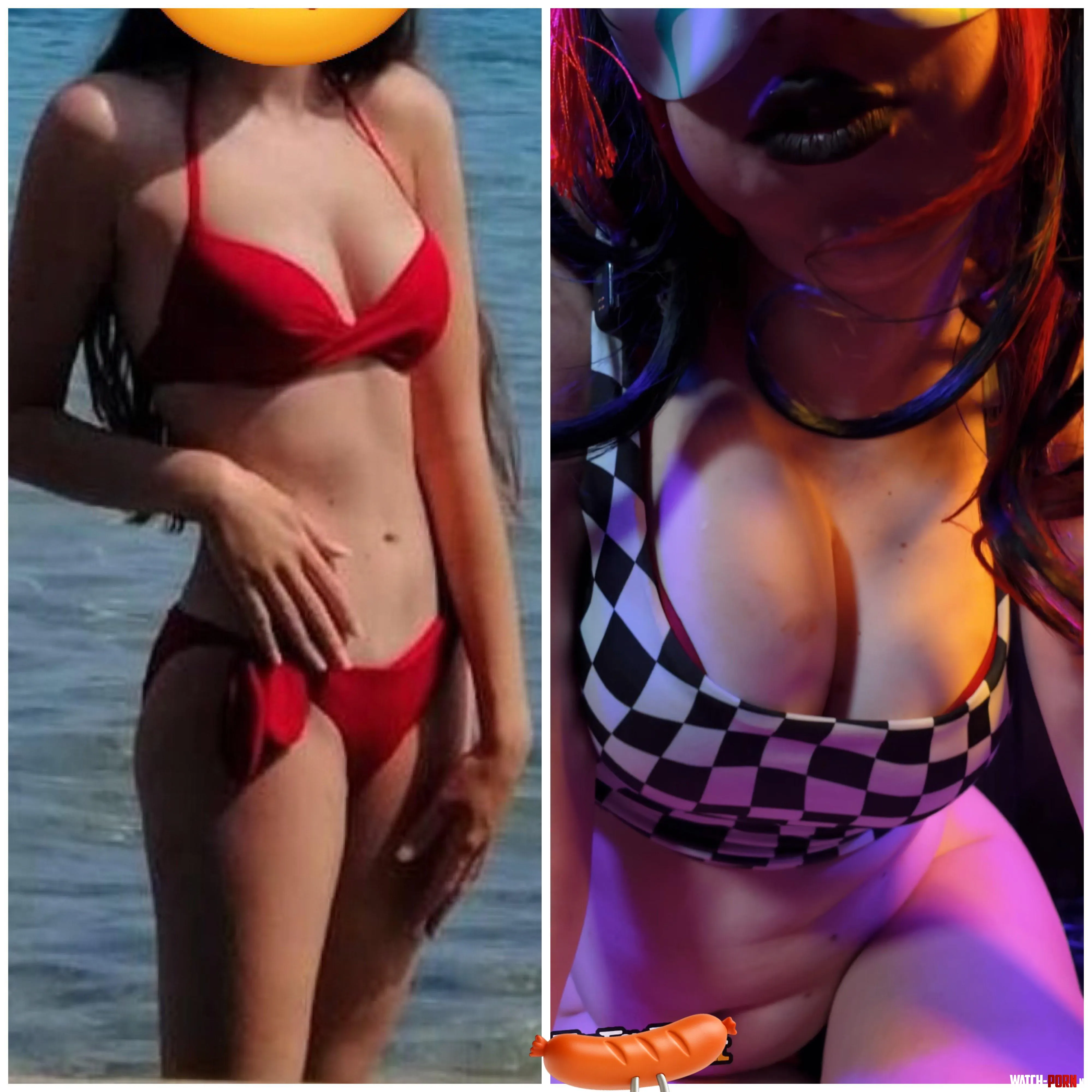 Which do you prefer 🐷🦊 by fullbelly365