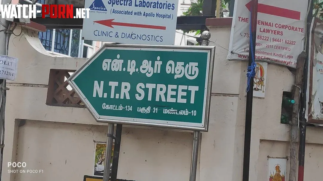 VERY Interesting Street by Virtual_Finger6748