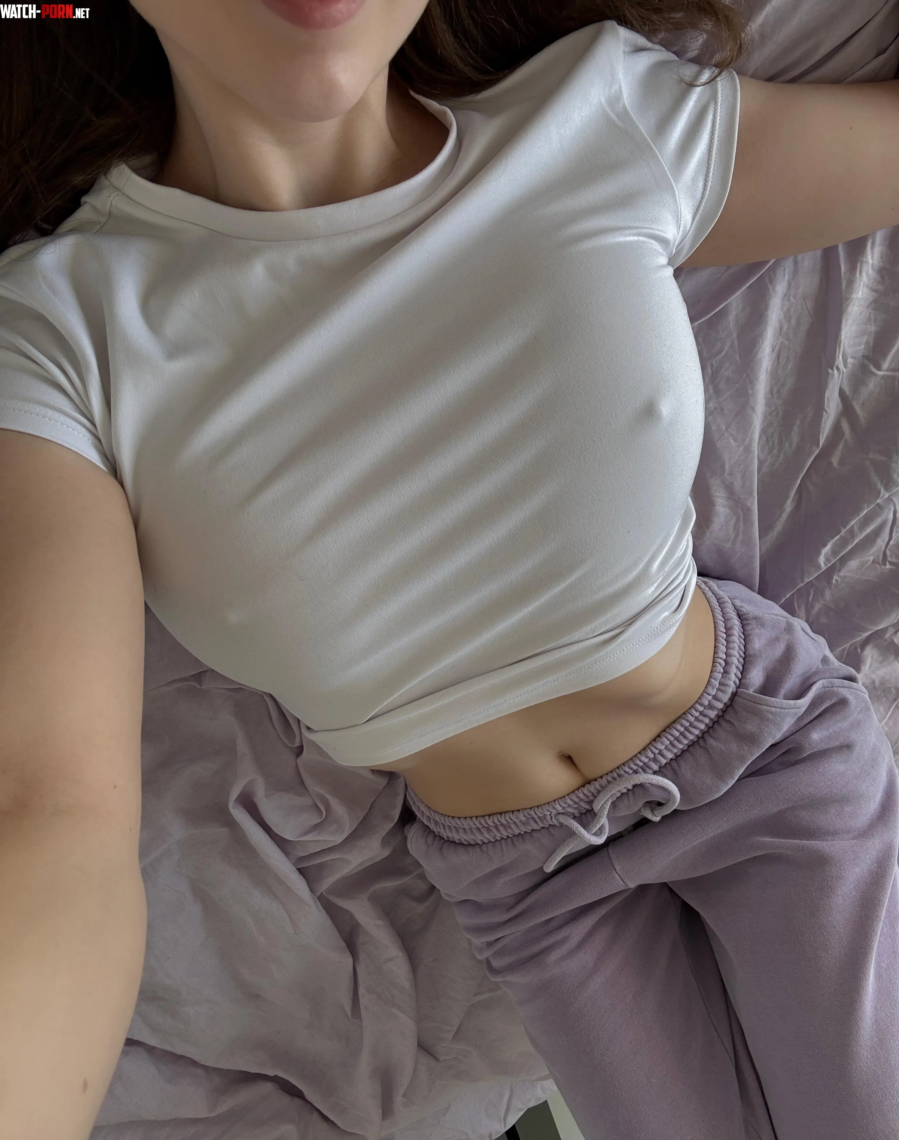 Me and my pokies just staying comfy by chillwithrose