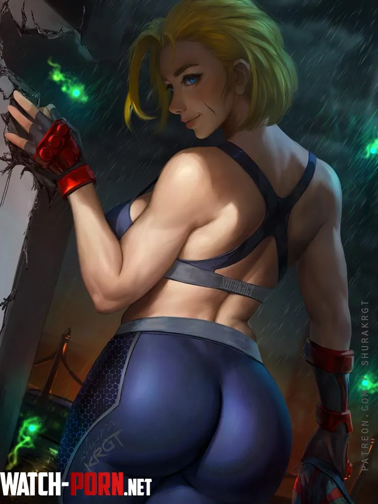 Cammy's lovely ass (ShuraKRGT) [Street Fighter] by dxt99