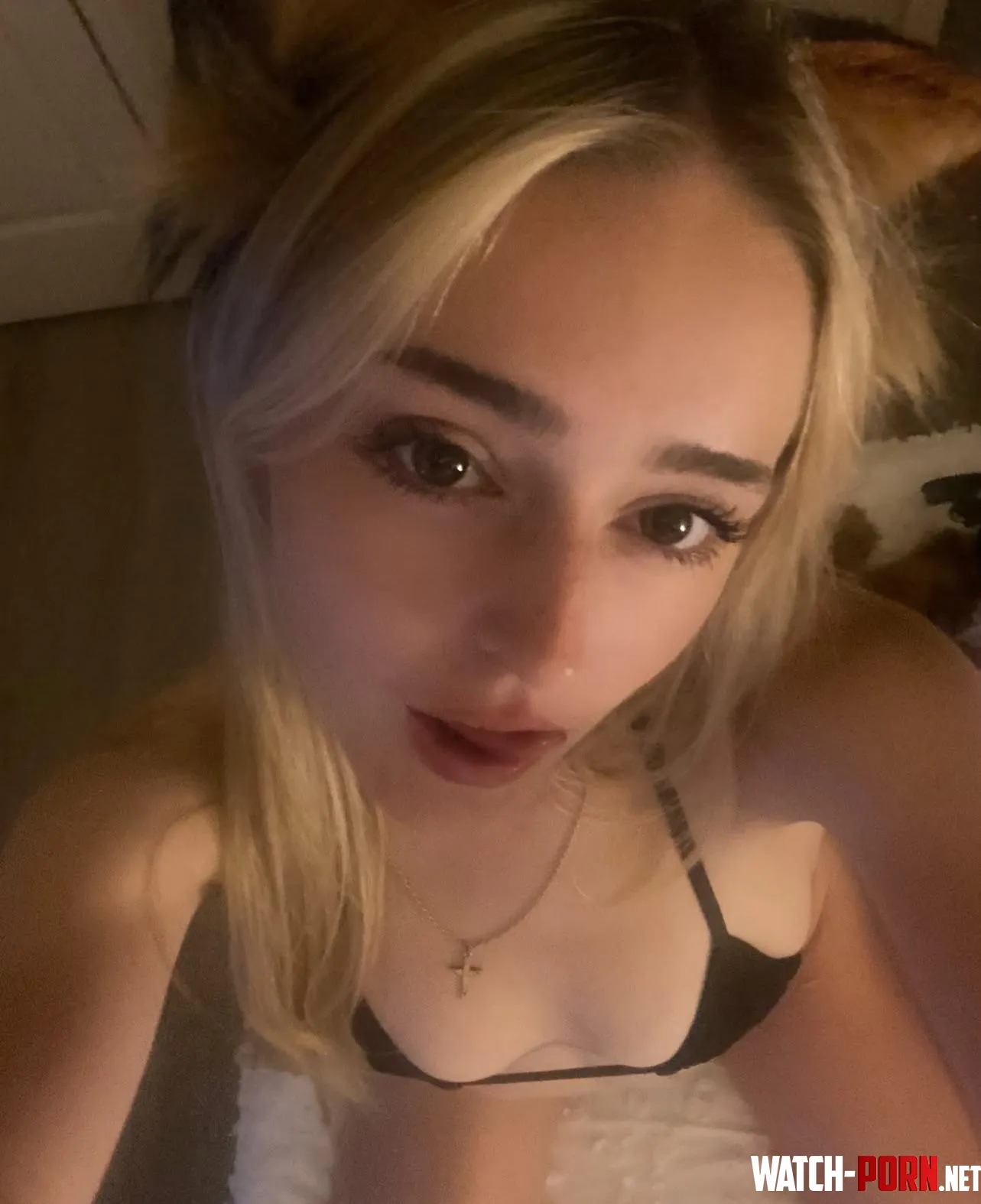 kitty says goodnight by Creepy_Ingenuity_635