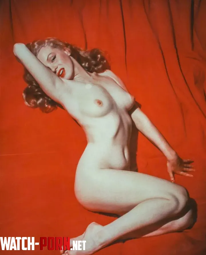 Marilyn Monroe is a timeless mine by Smooth-Apricot-2472