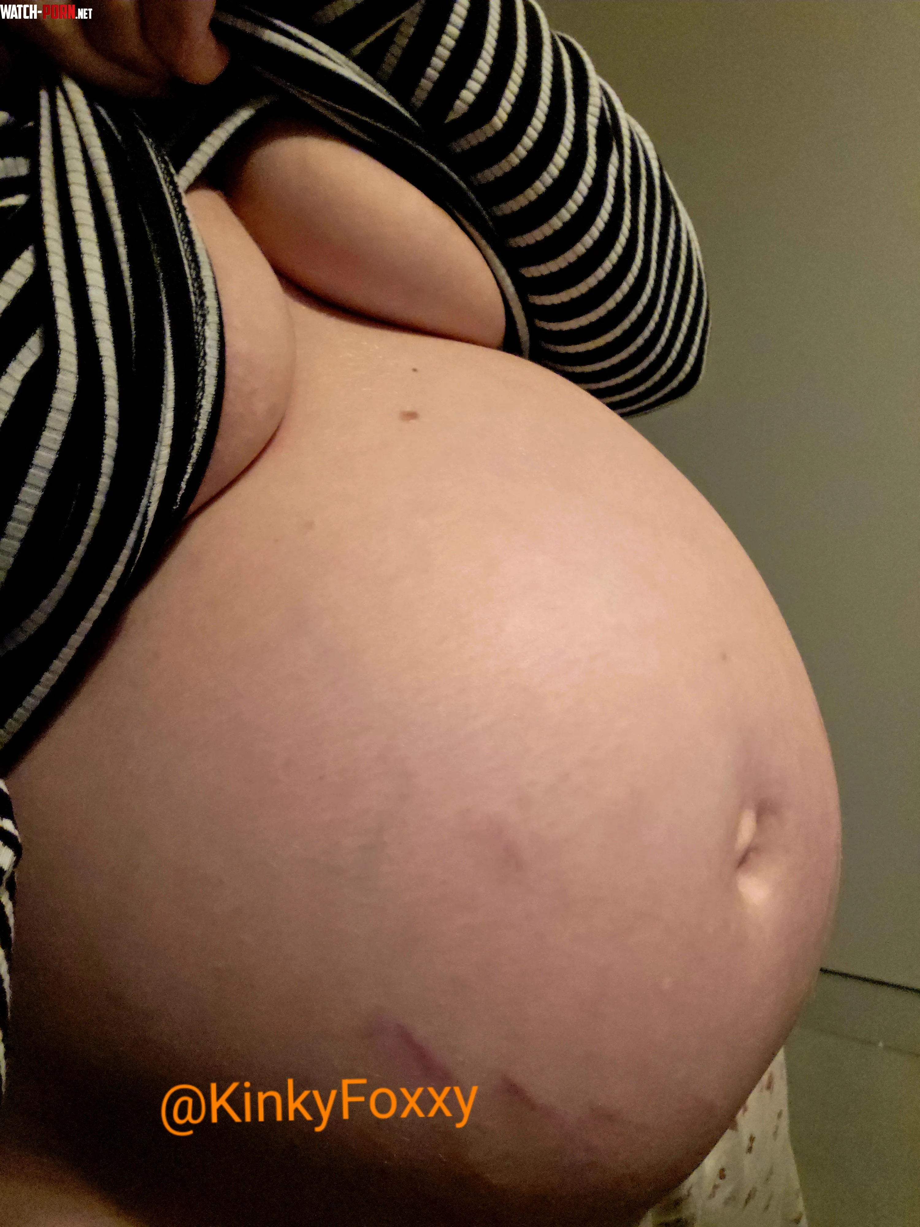 Good night to all the pregnancy fans 🦊🤭 by KinkyFoxxy