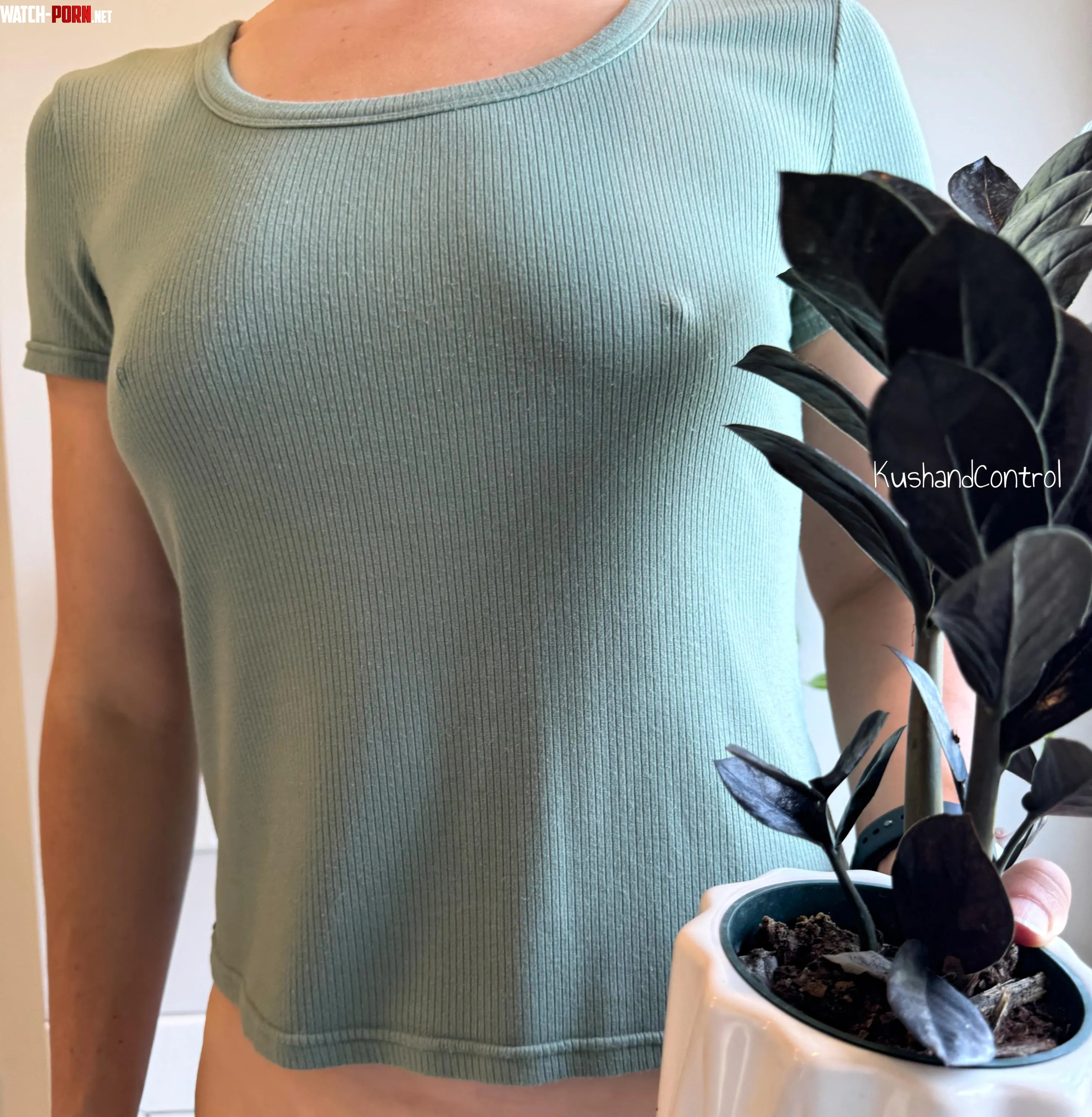 Just showing off my…plant ;) by KushandControl