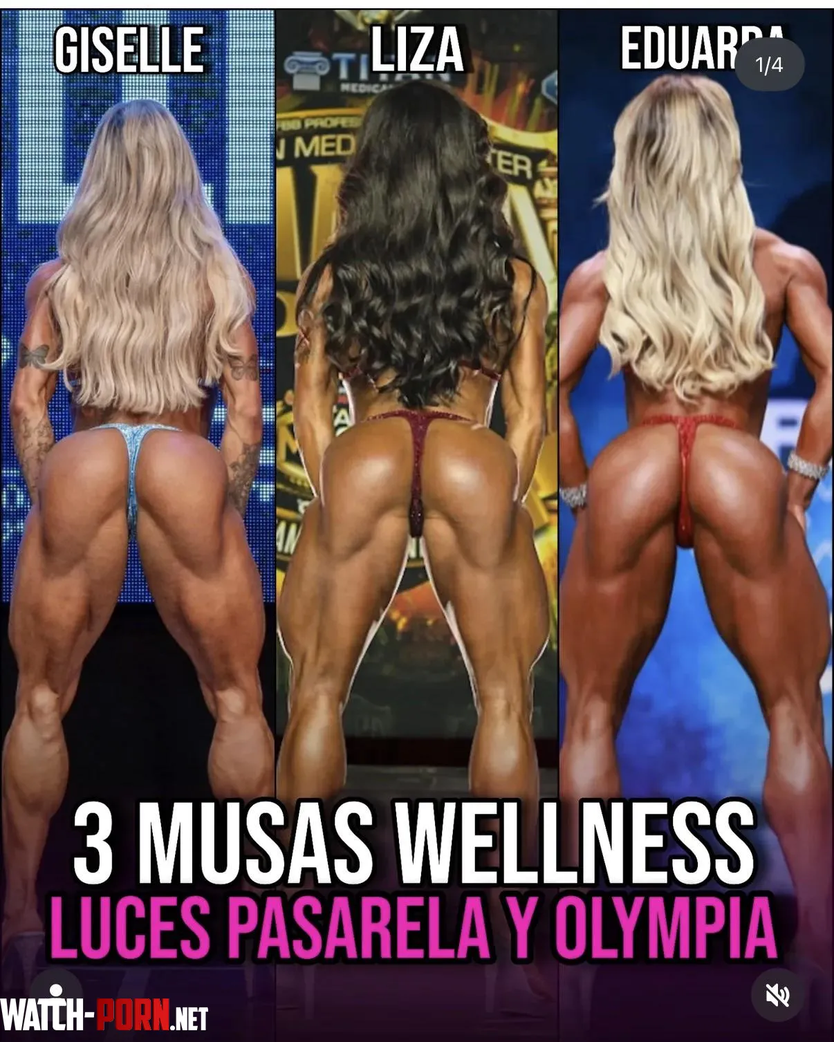Rank them by organicanswers