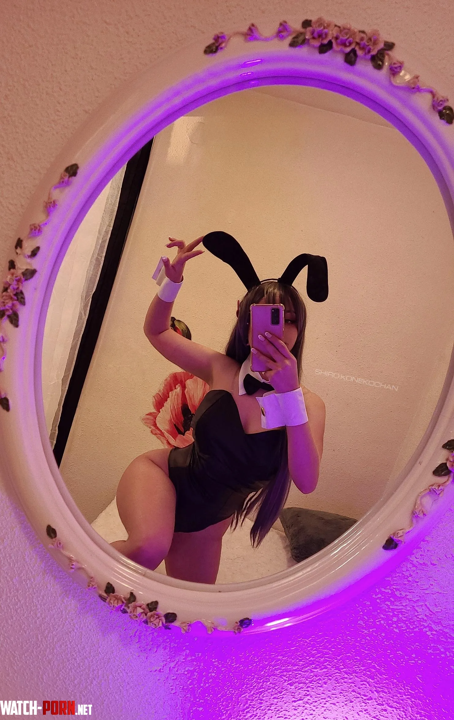 Just a bunny with a mission to distract :P by BabyCharm_