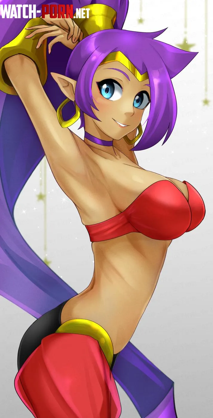 [Shantae] From side (てぃながっくし) by 4as