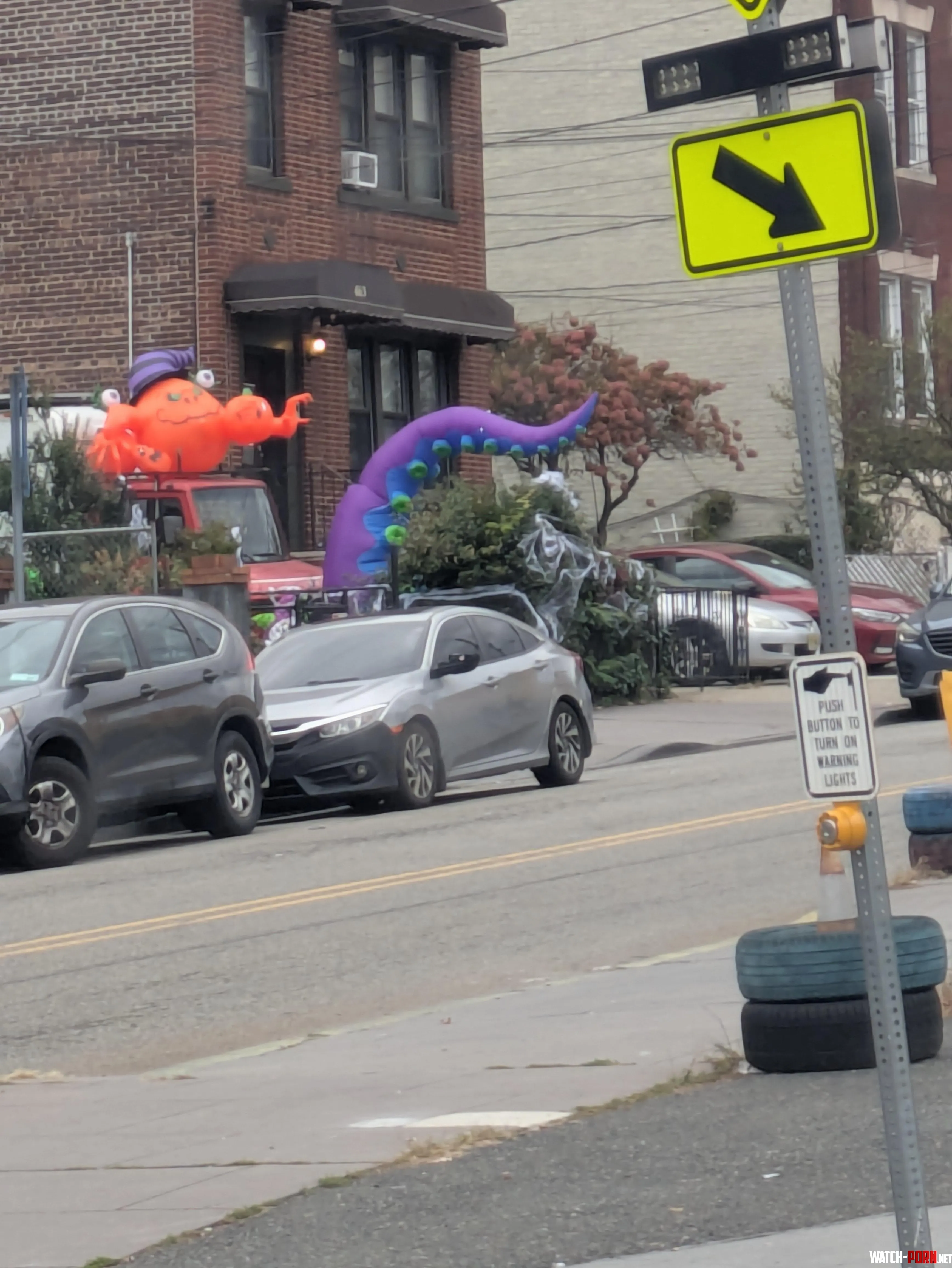 These Bad Dragon toys are getting out of hand by Beaconxdr789