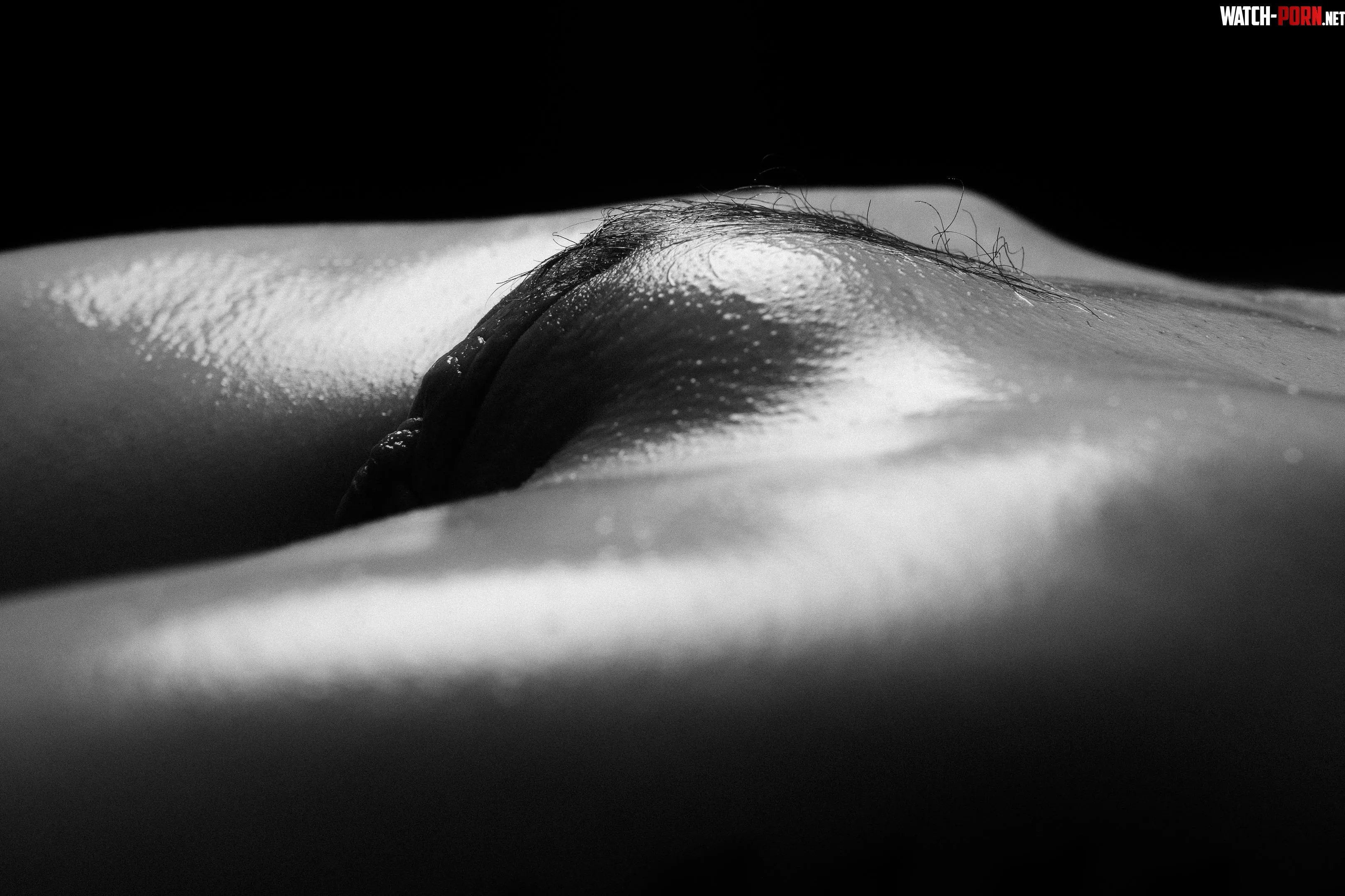 Landscape by adam_lepp