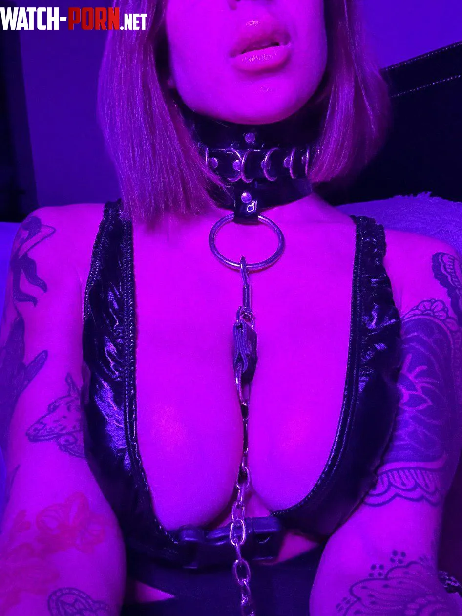 I'm just waiting for my master to tell me what to do by Emberwhisper10