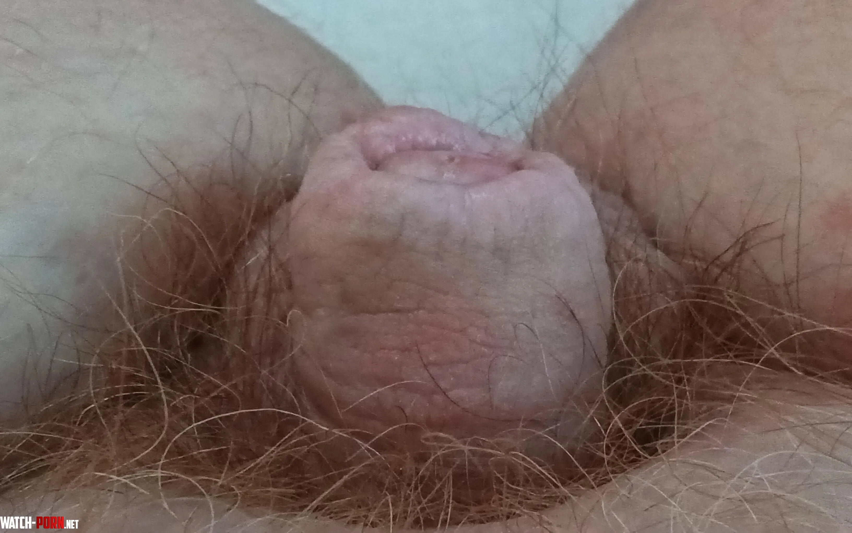 My tiny Cock by DarkNight_505