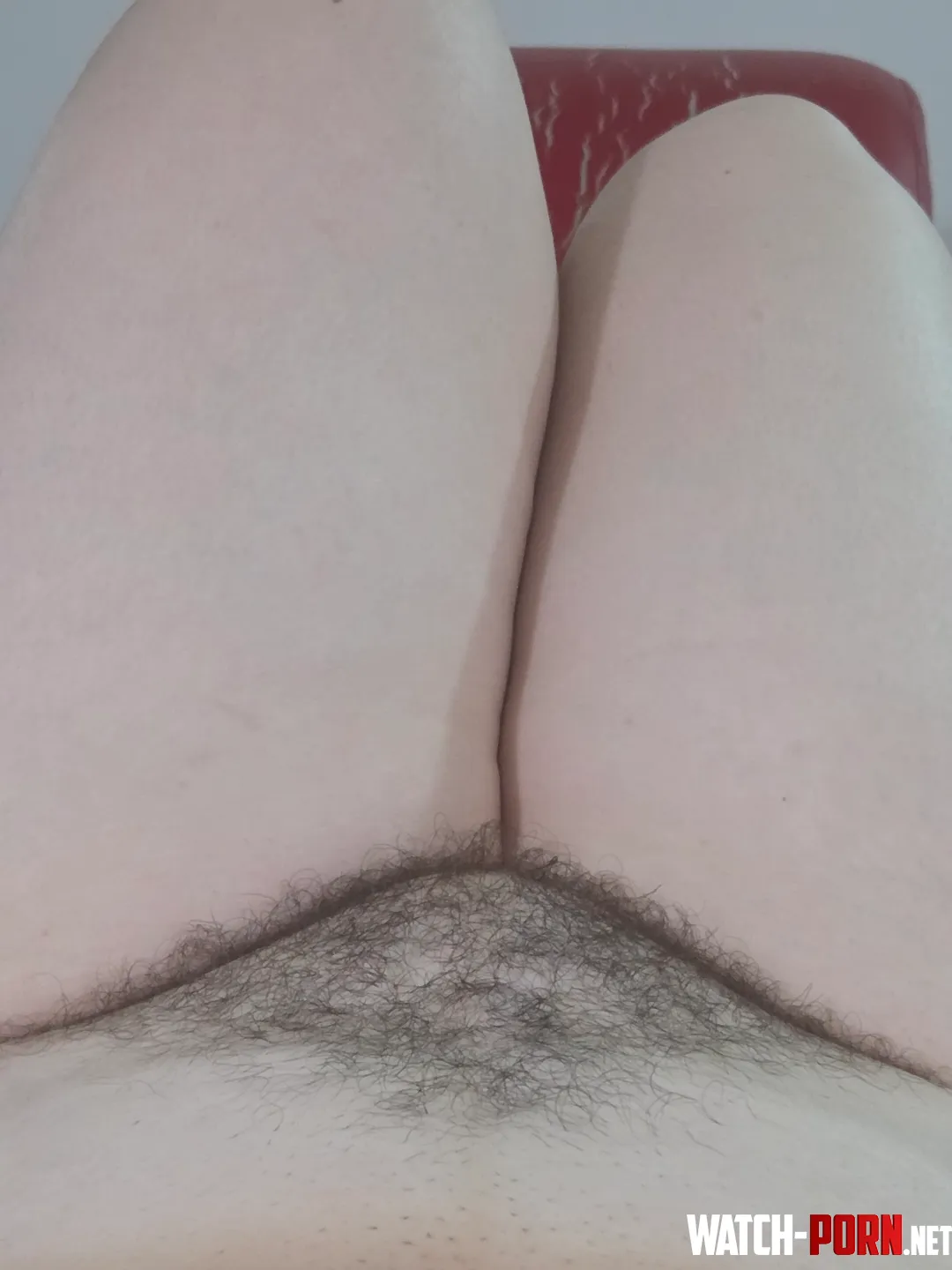 Real men eat hairy pussy by h0rnylibrarian