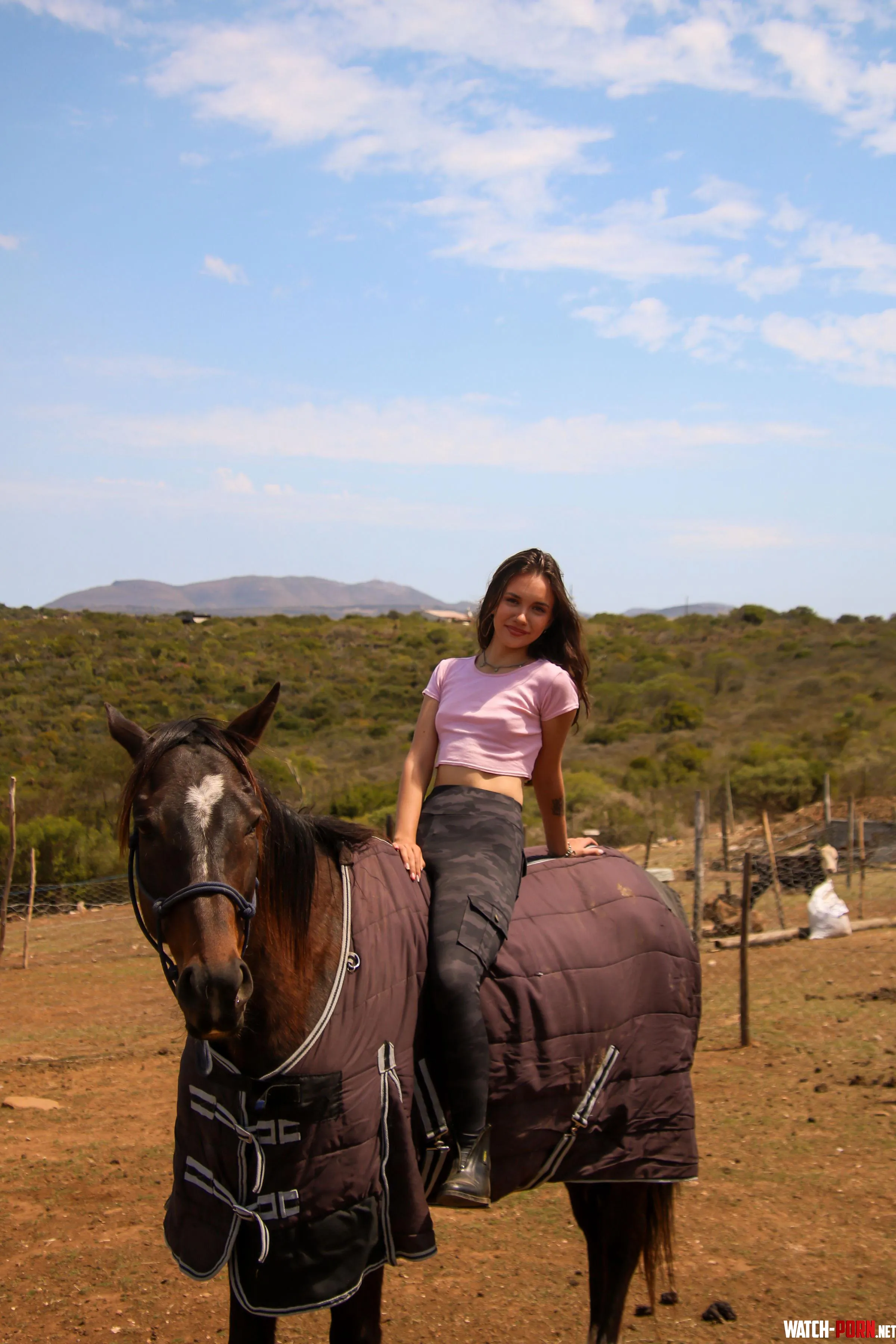 Horse girl from SA here! 🇿🇦 by missmay_10