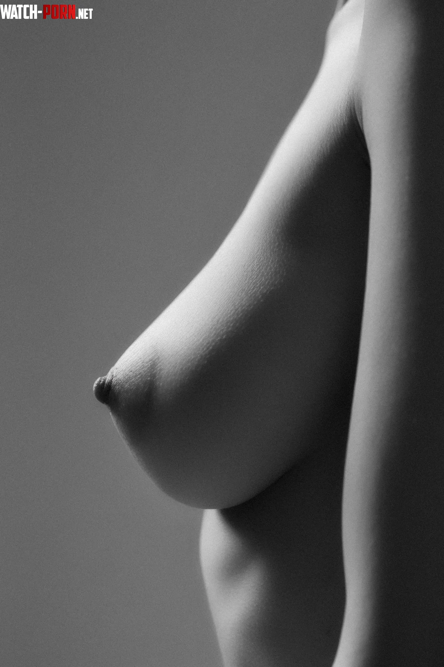 Close Up by thomasyanose