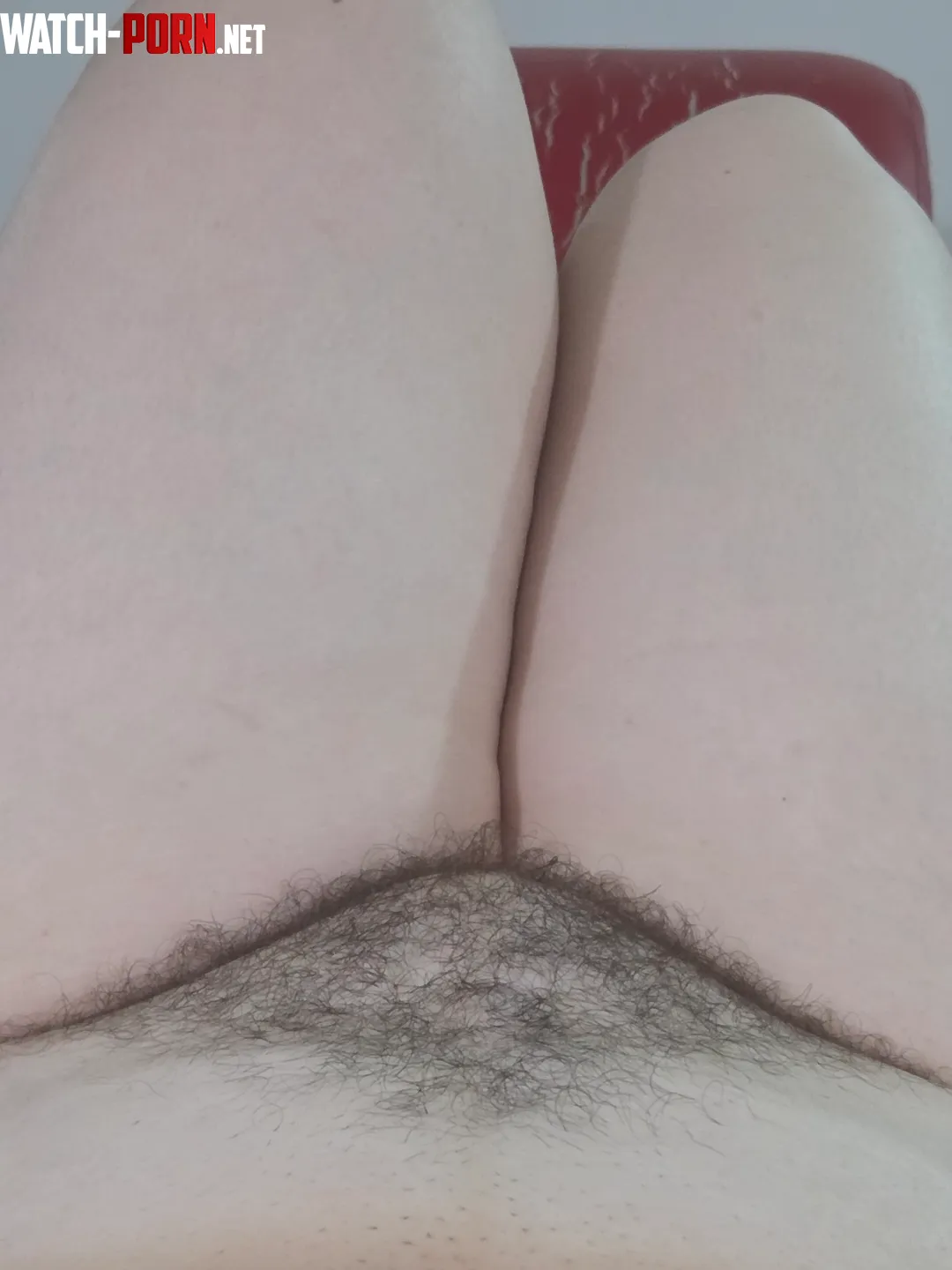 Pale and sexy by h0rnylibrarian