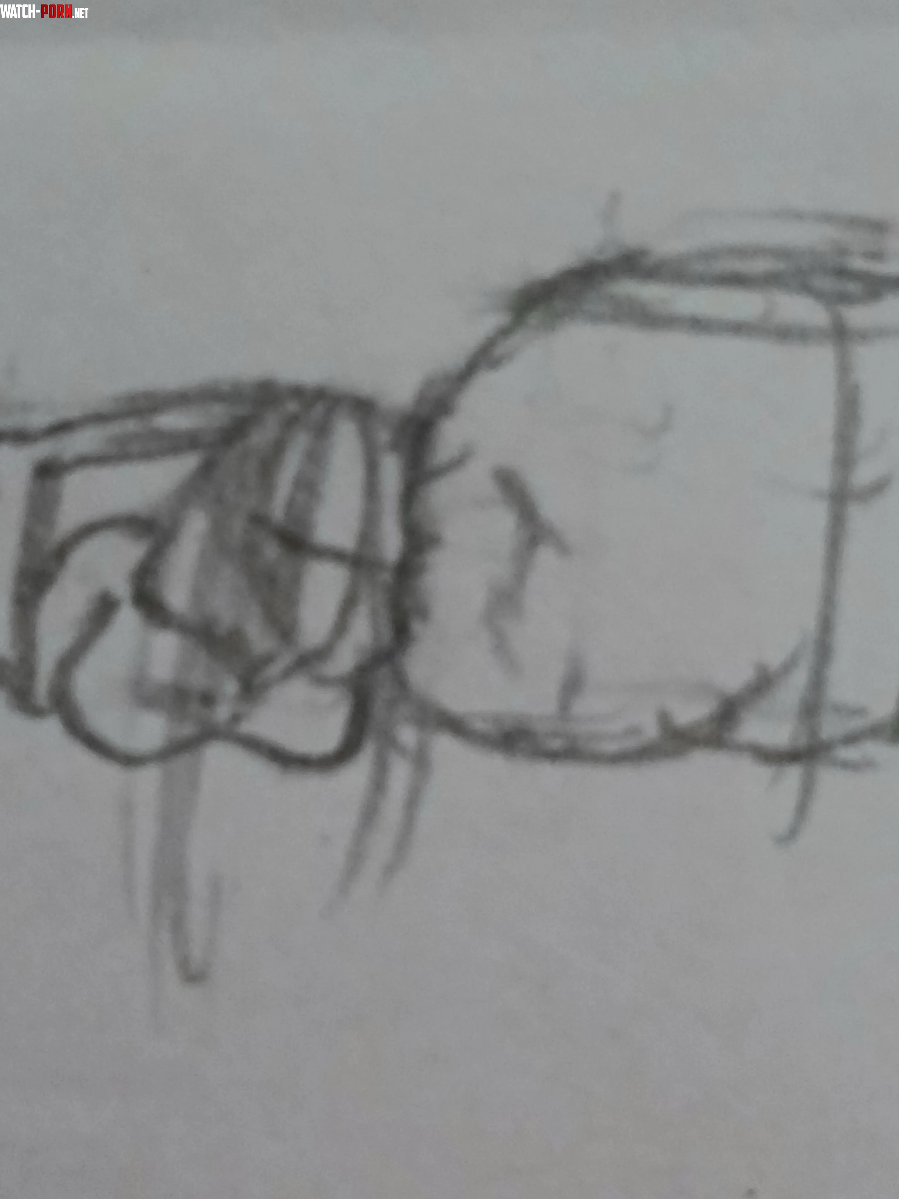 Can someone help me find this art. by Ok_Horse9052