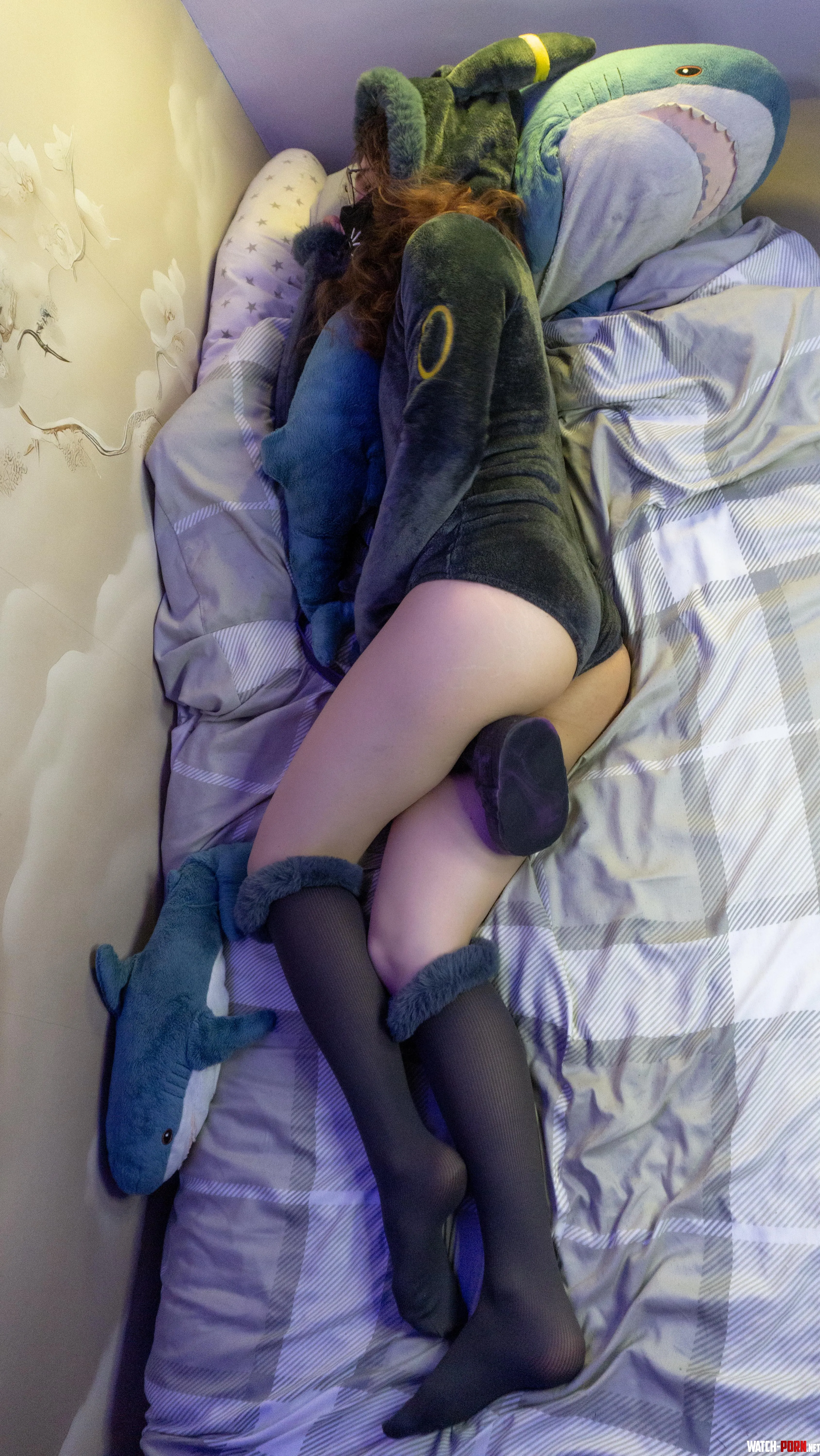 Sometimes you're just too sleepy to play (っ˕ -｡)ᶻ 𝗓 𐰁 (Chance unflared) by Just_a_Limeboy