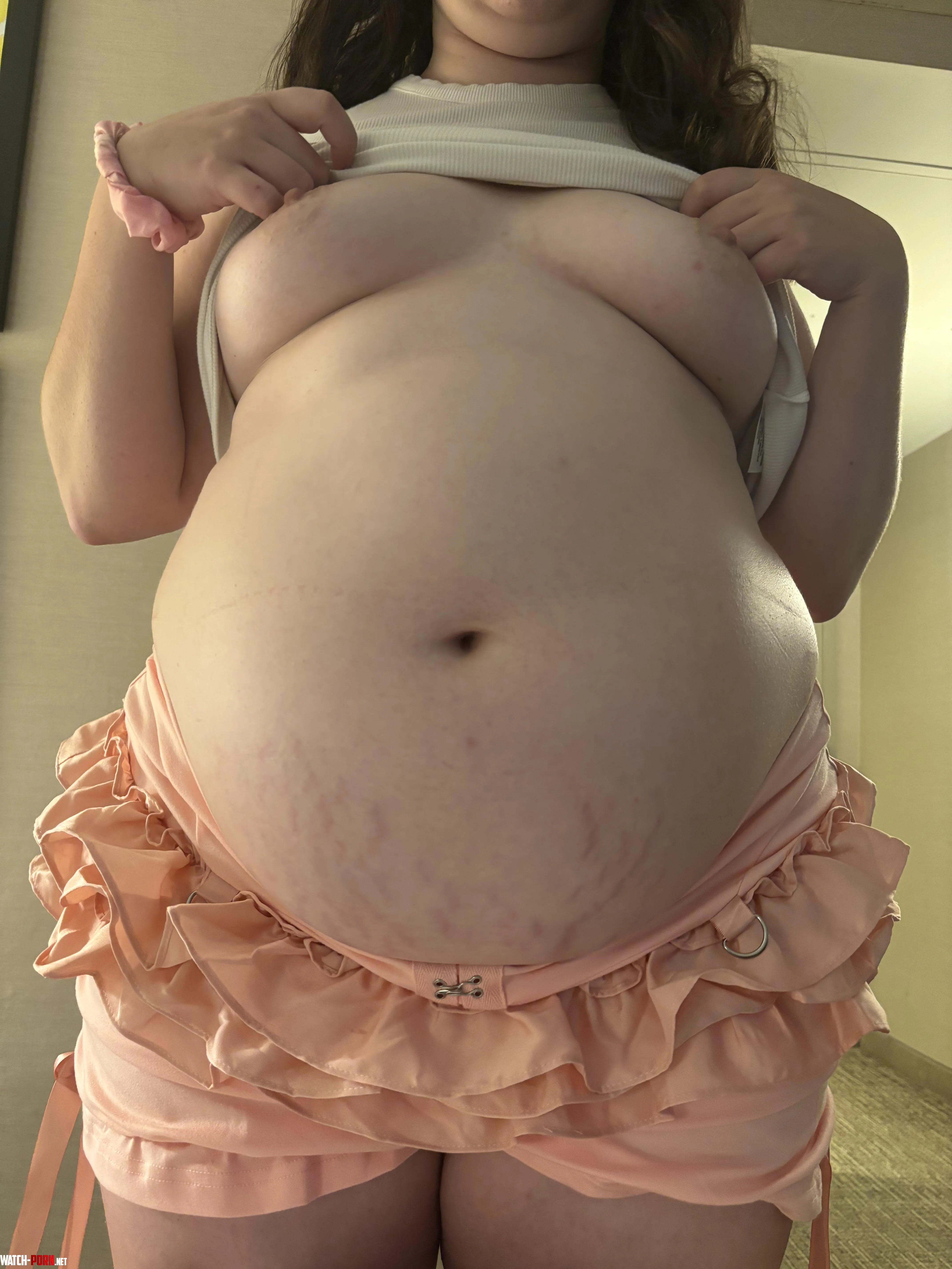 Stuffed piggy by cutielapin