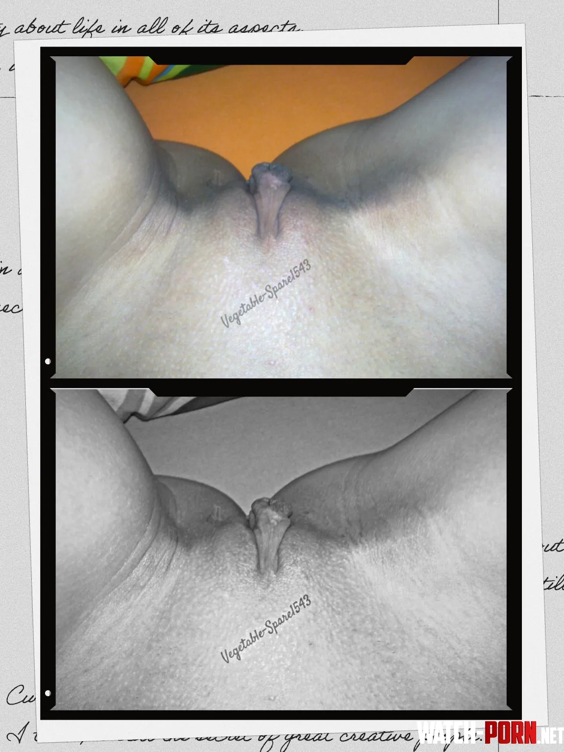 Here's another perspective of my shaved pussy [F42] by Vegetable-Spare1543