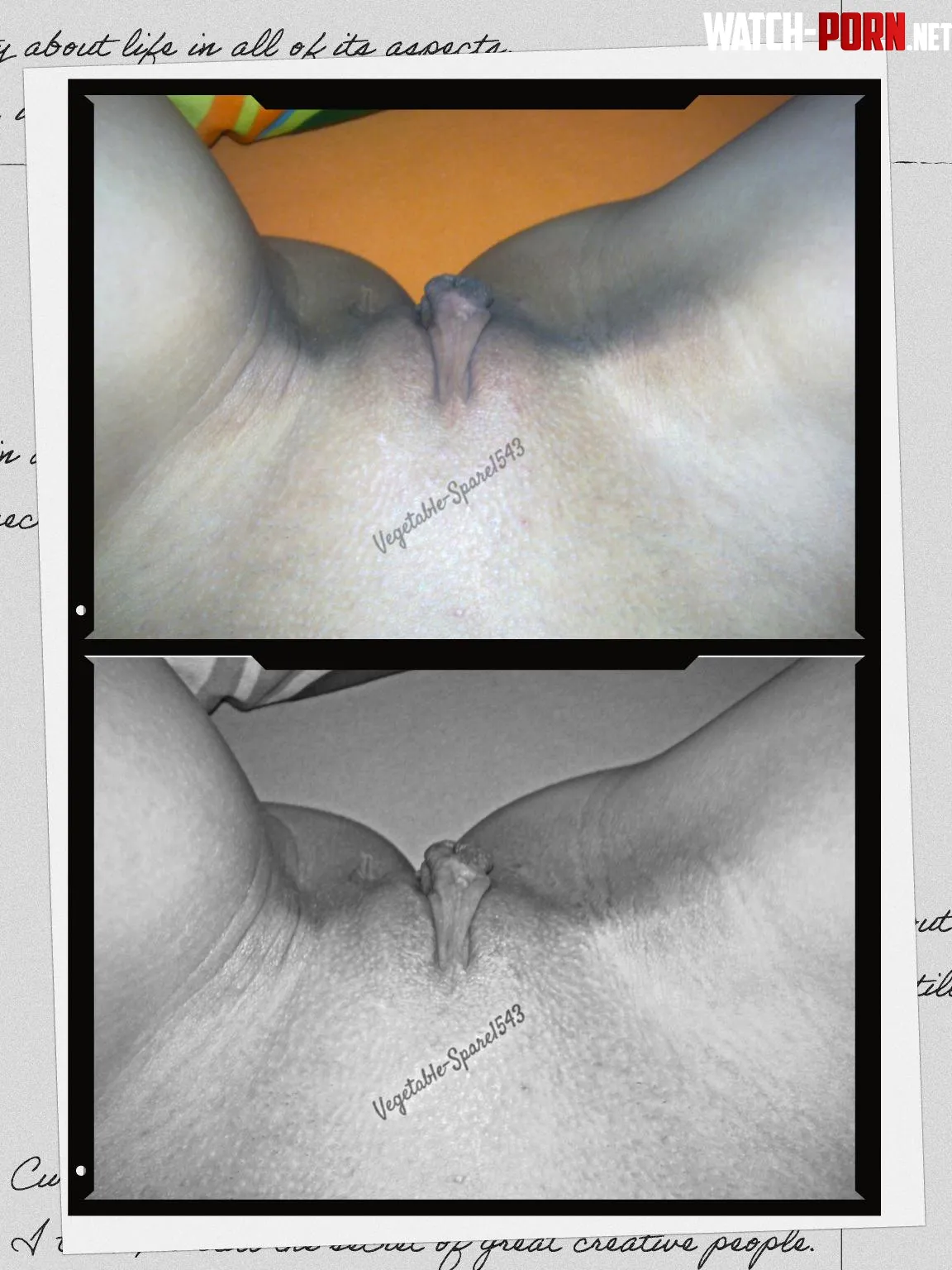 Here's another perspective of my shaved pussy [F42] by Vegetable-Spare1543