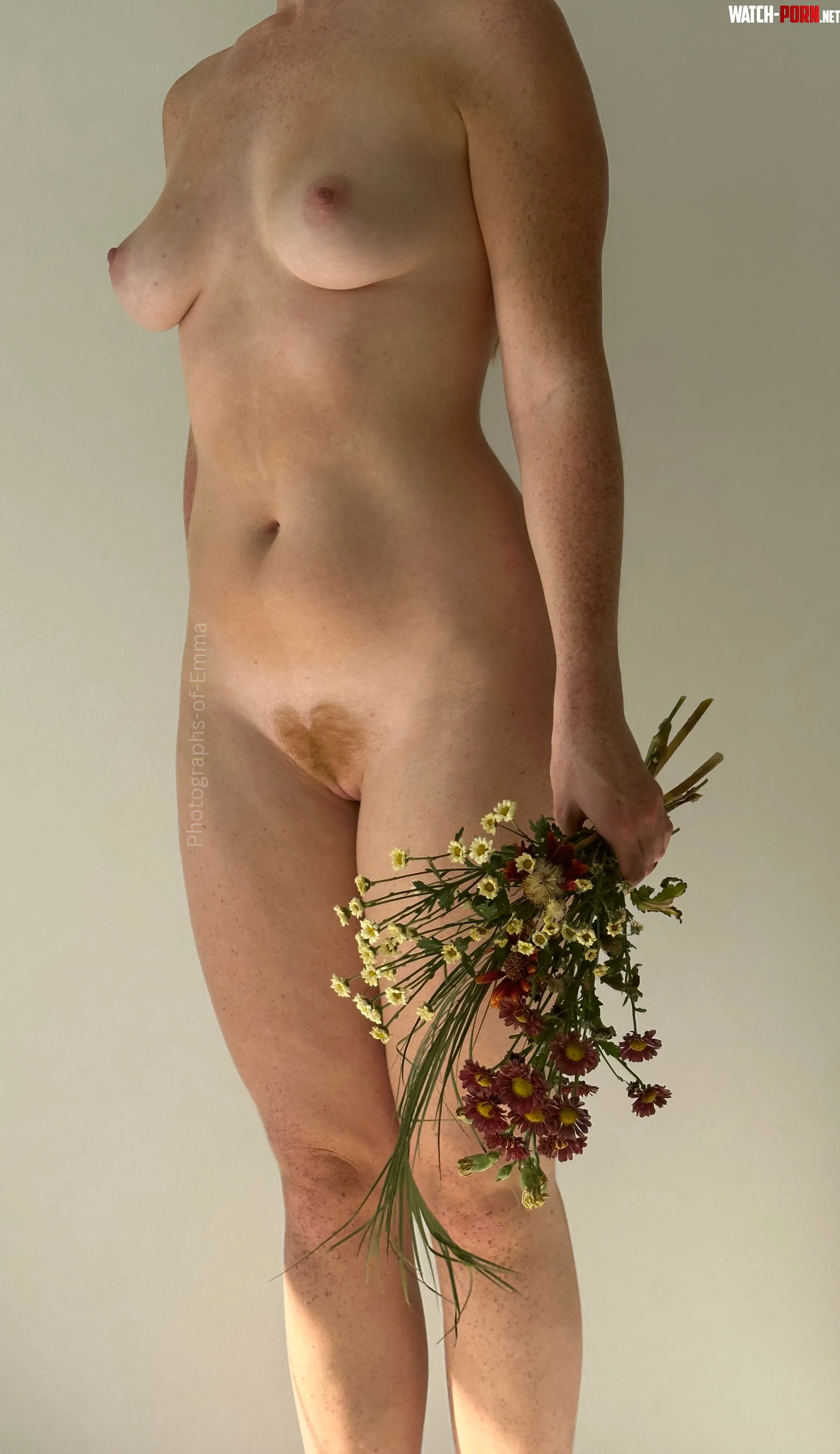 I should buy new flowers by Photographs-of-Emma