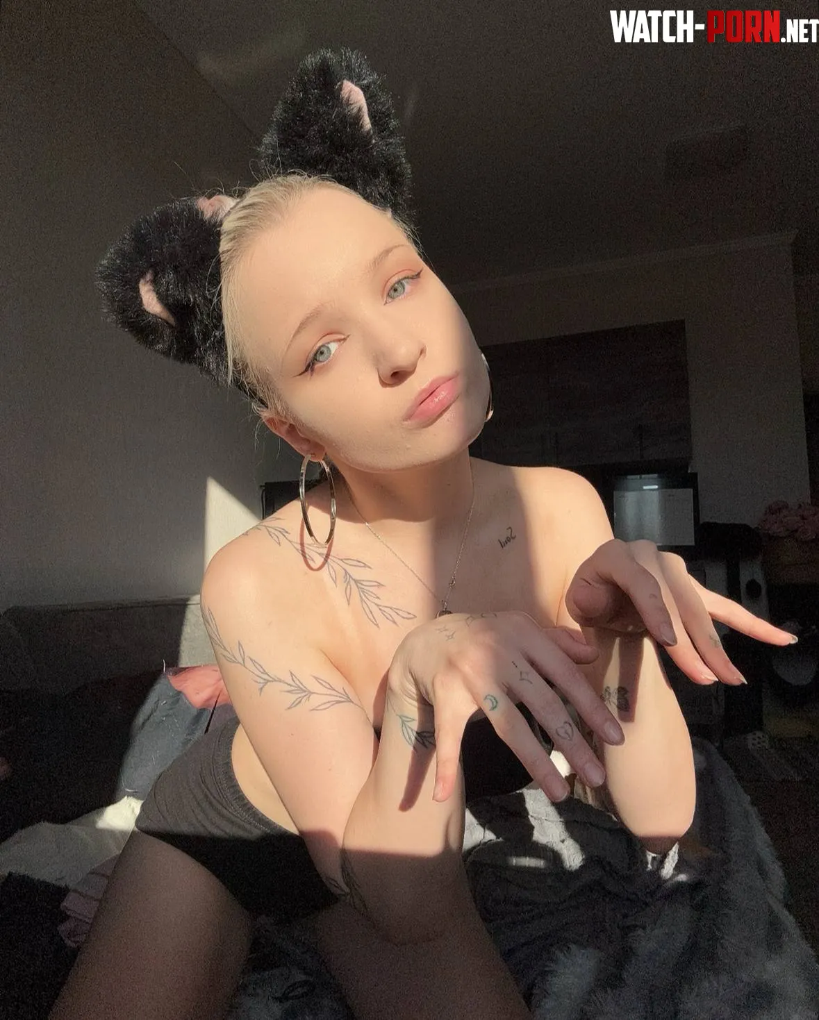 How wld you train this cute little kitten by CaptivatingPriestess