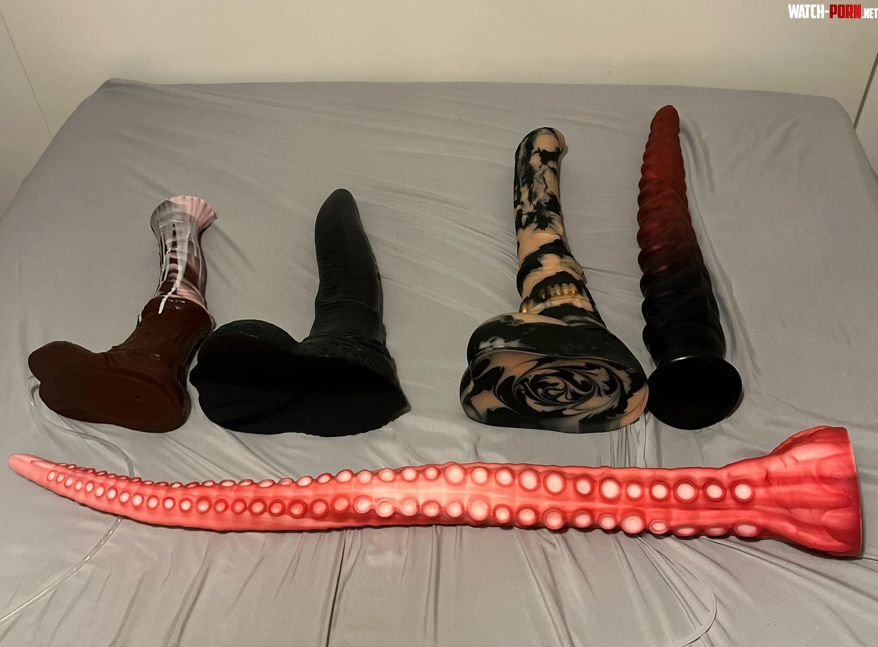 New buddy by Old-Equal9996