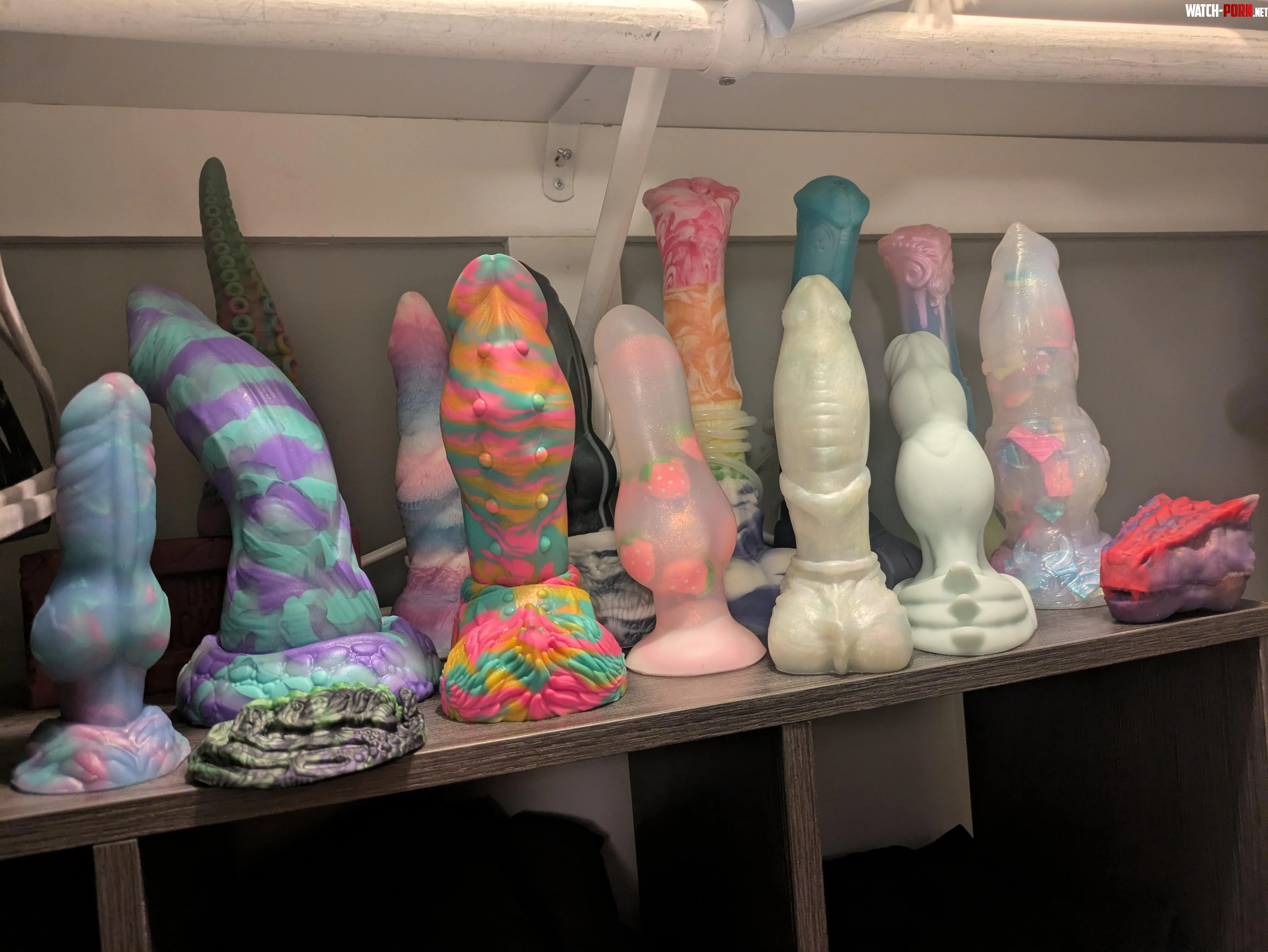 Family photo 😋 by QueenoftheAbsurd