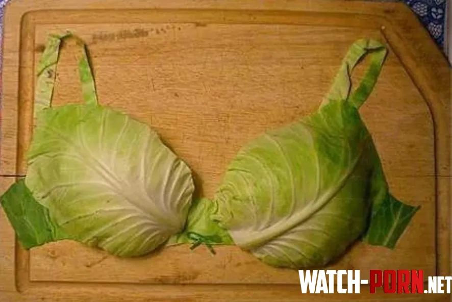 Don't judge me too harshly for crossposting this, but isn't lingerie for fun? by That1Master