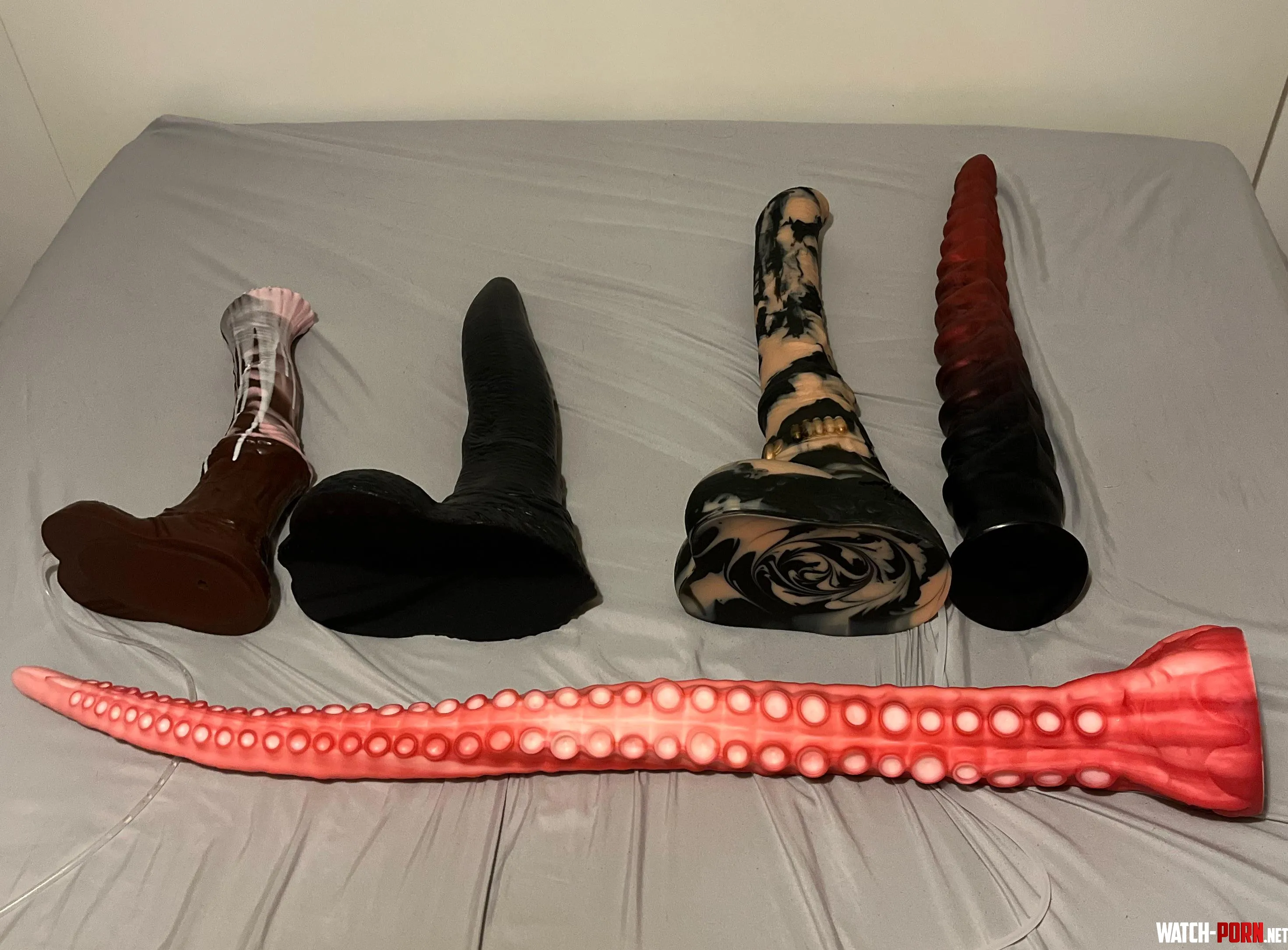 New buddy by Old-Equal9996