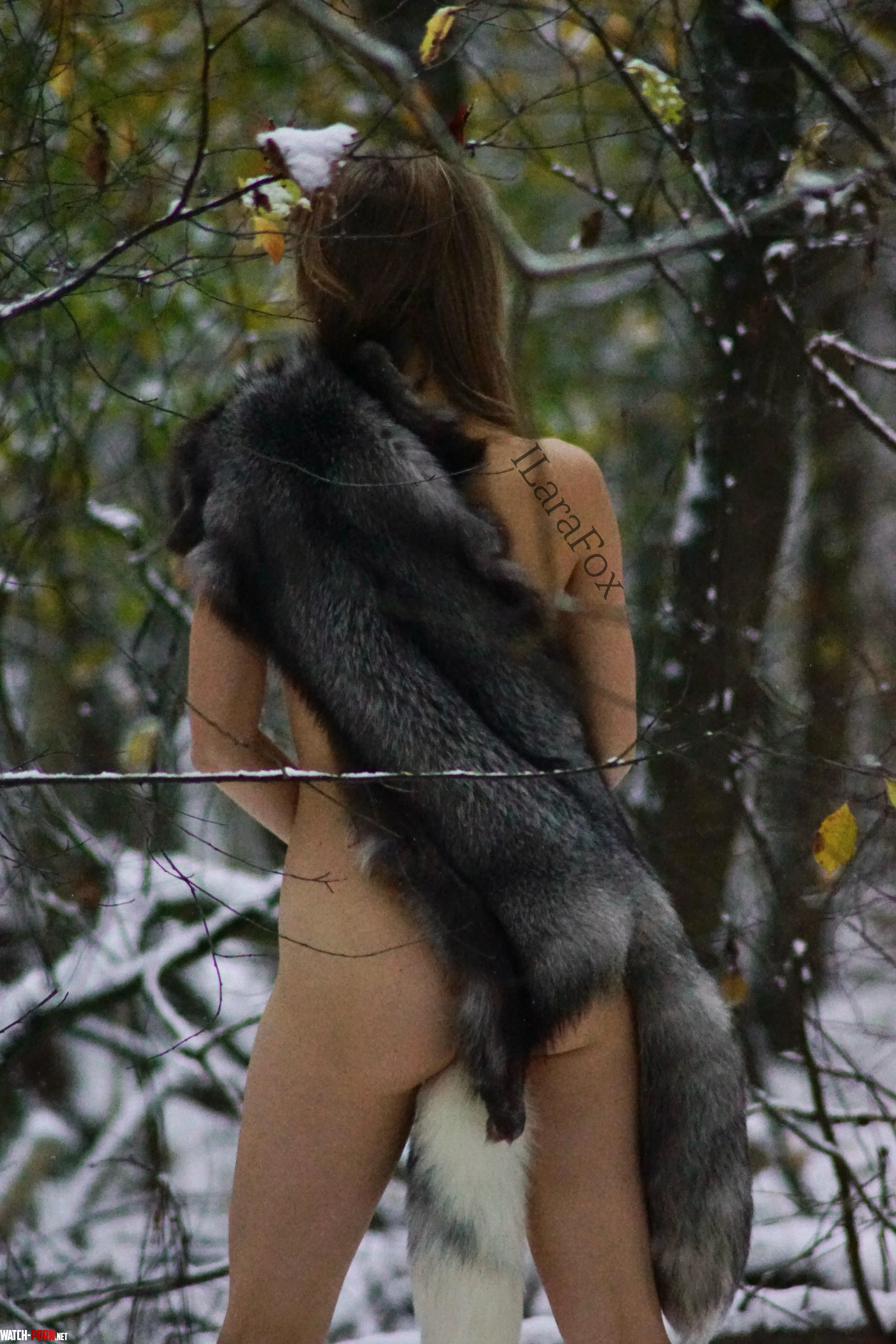 Walking in the woods by ILaraFox