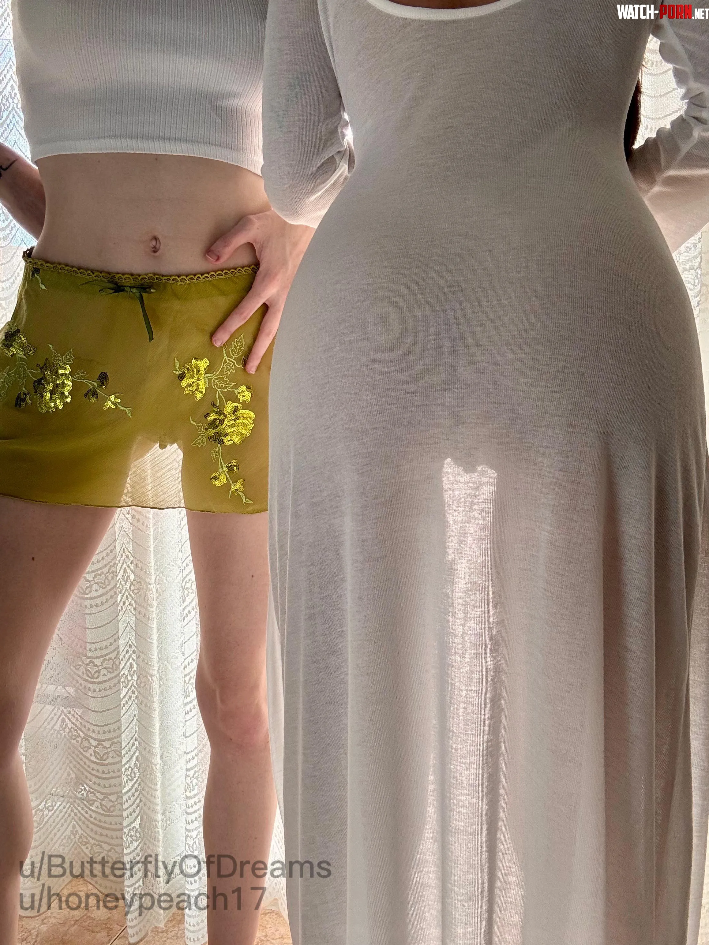 Front or back? by ButterflyOfDreams